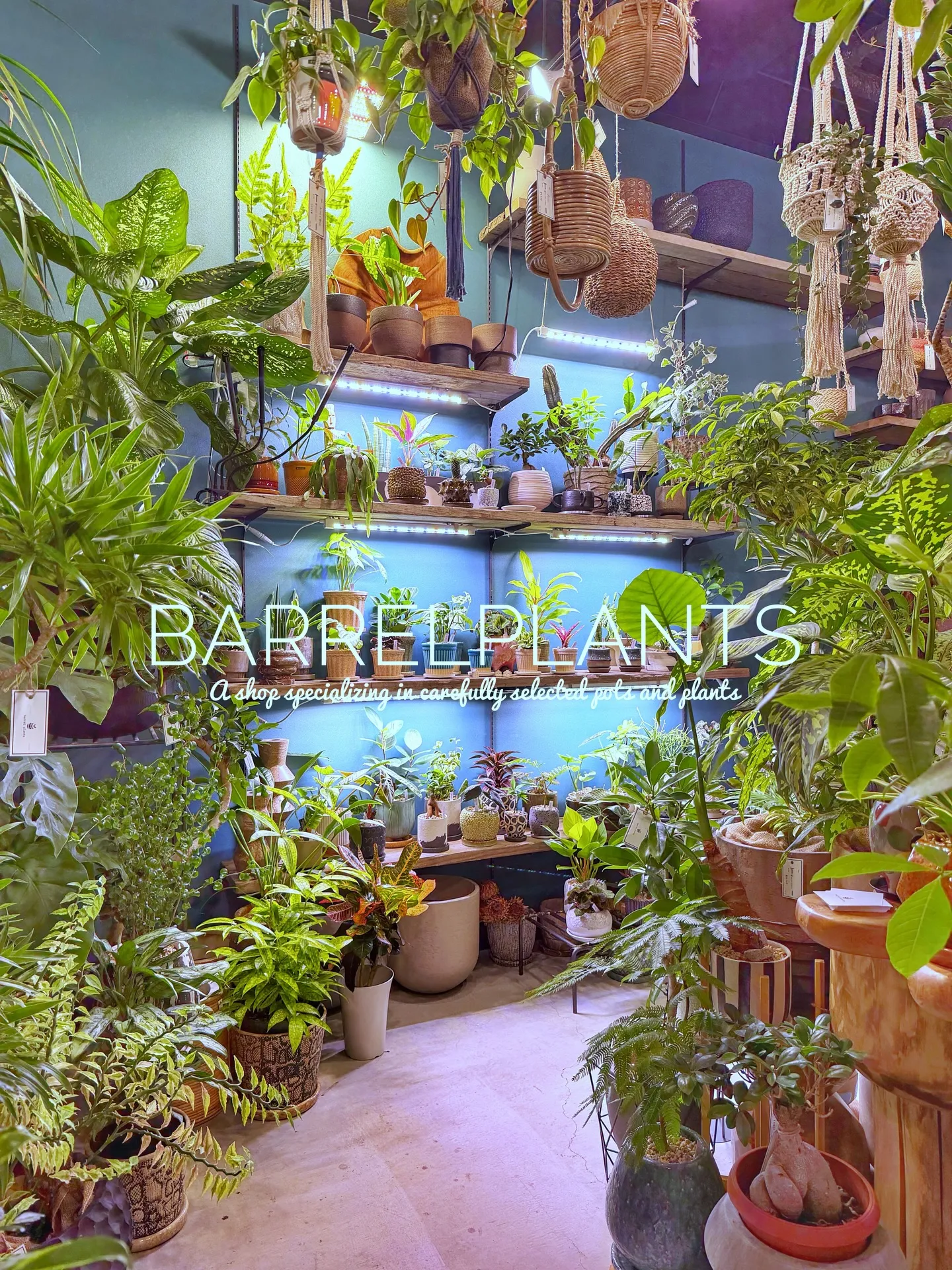 「緑に包まれるひととき。