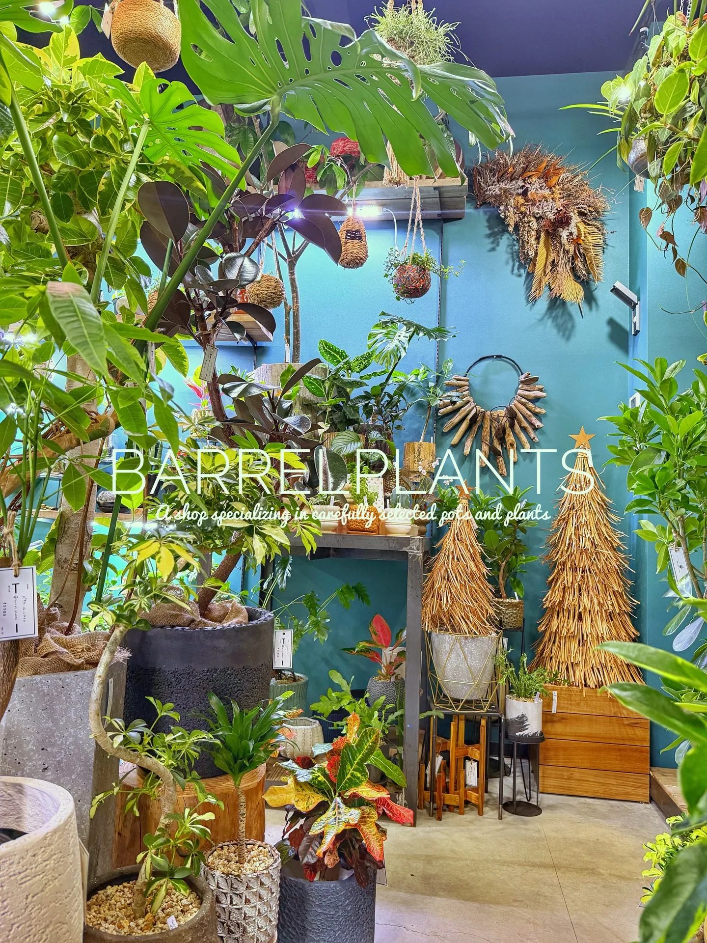 「緑に包まれるひととき。