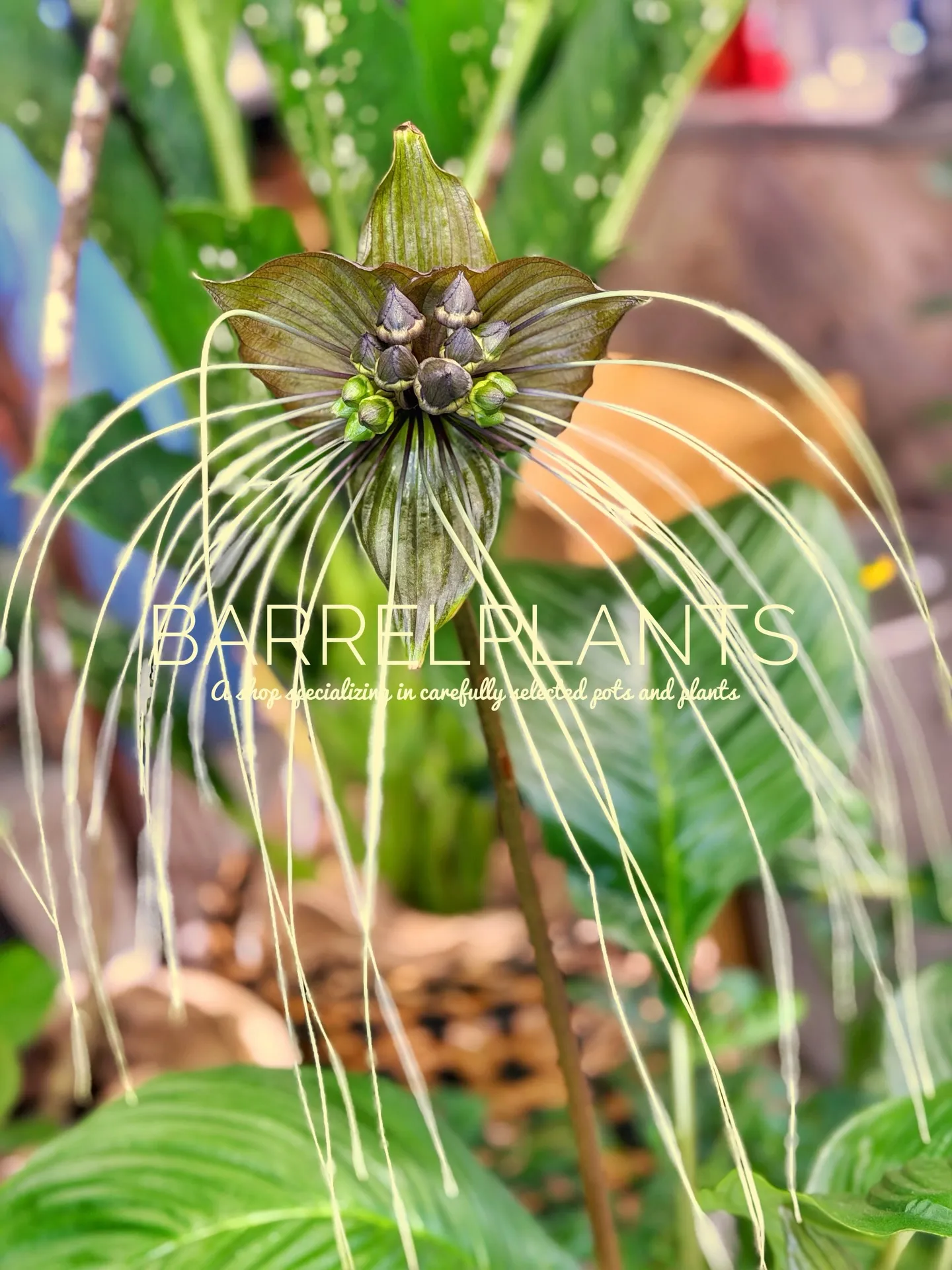 「緑に包まれるひととき。