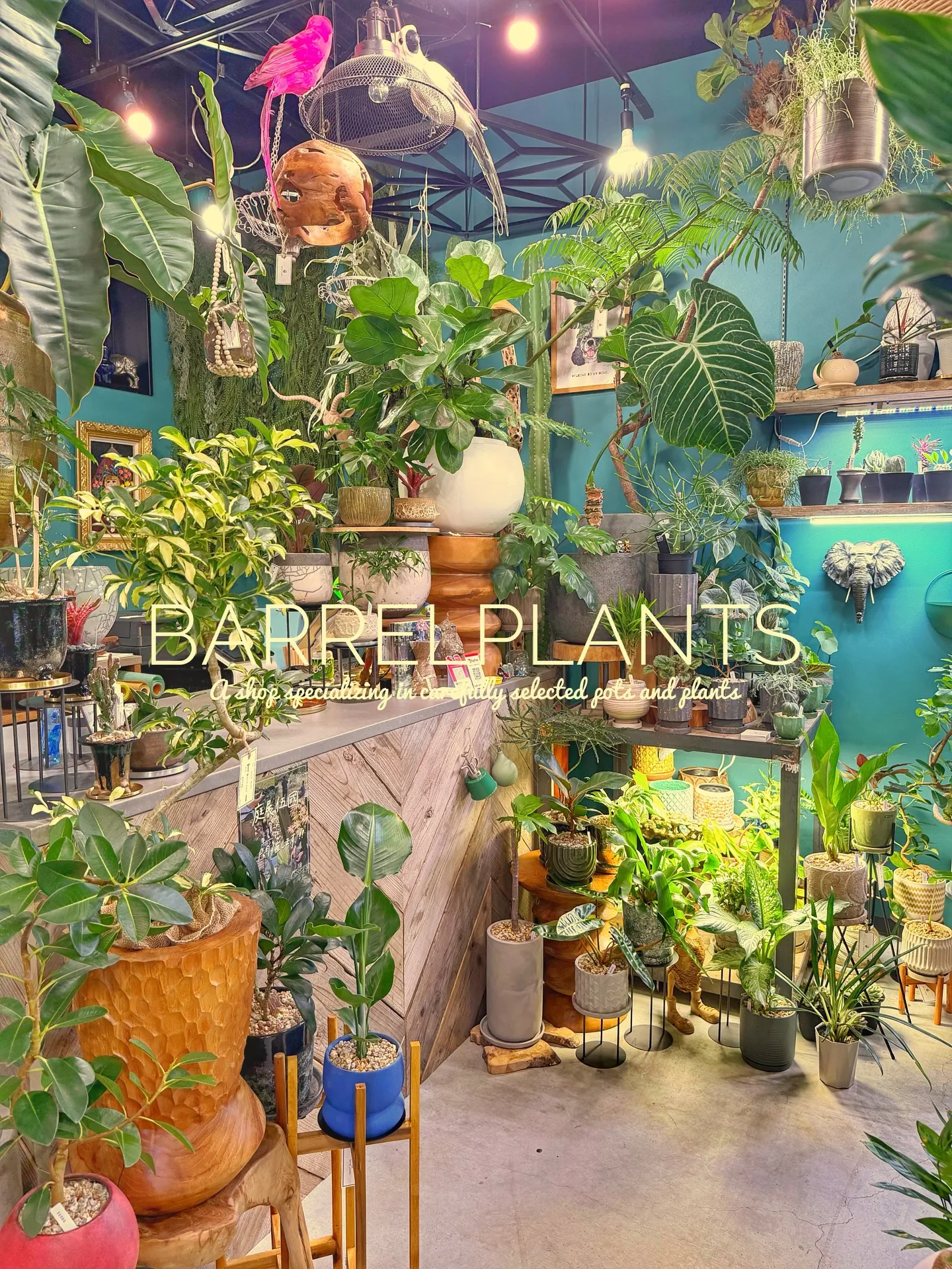 「緑に包まれるひととき。