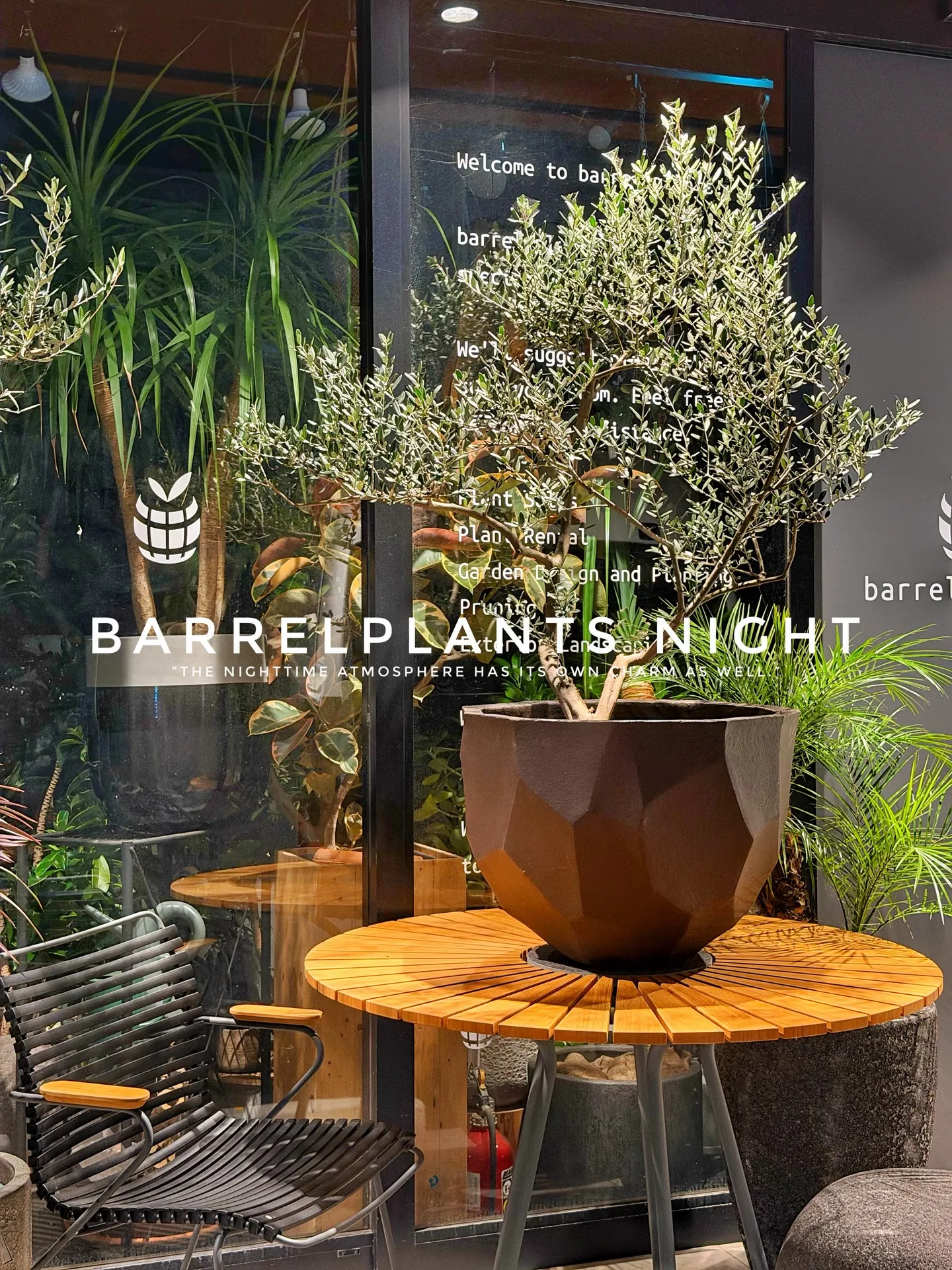 「夜のバーレルプランツ。