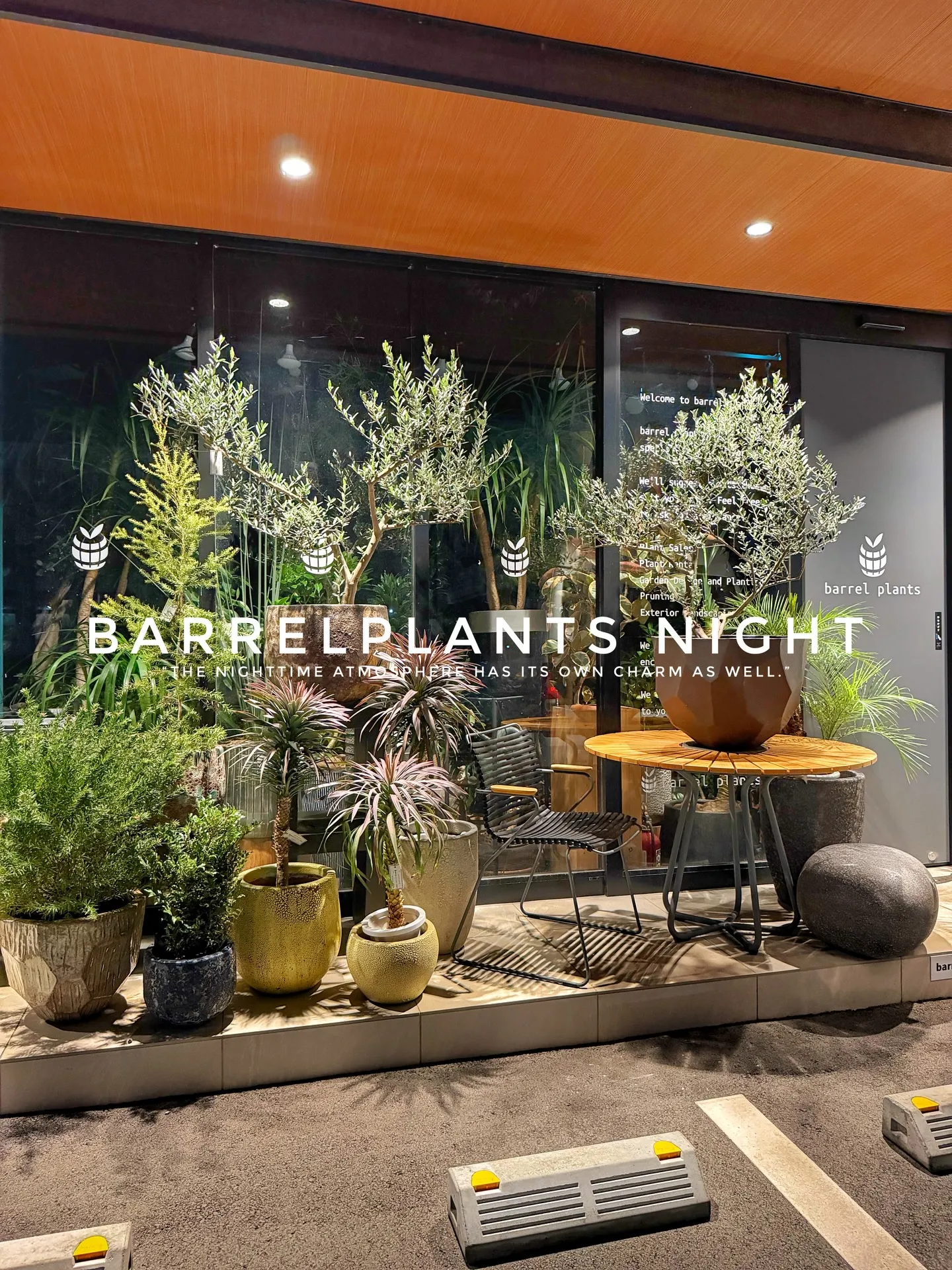 「夜のバーレルプランツ。