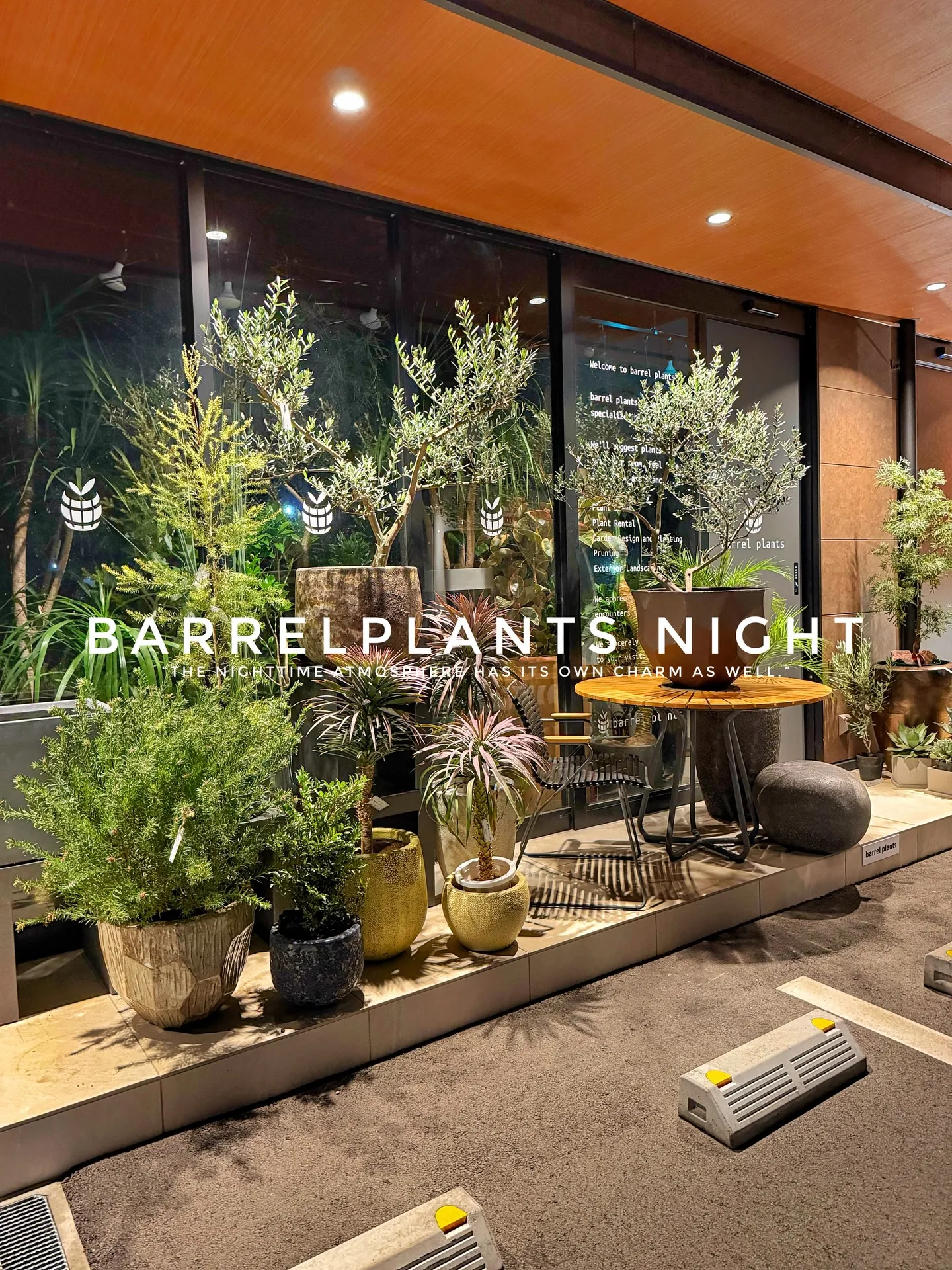 「夜のバーレルプランツ。