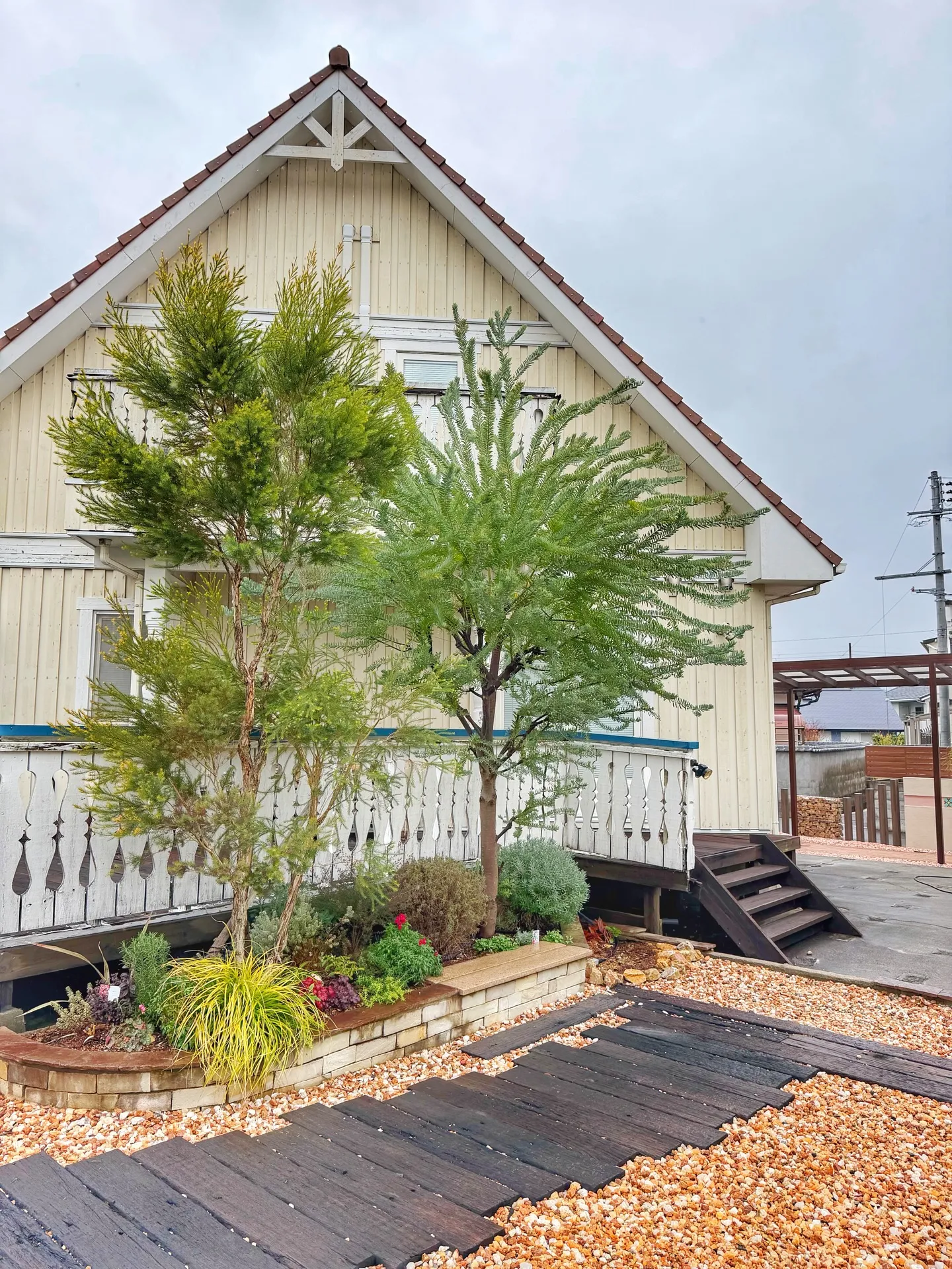 「夜のバーレルプランツ。