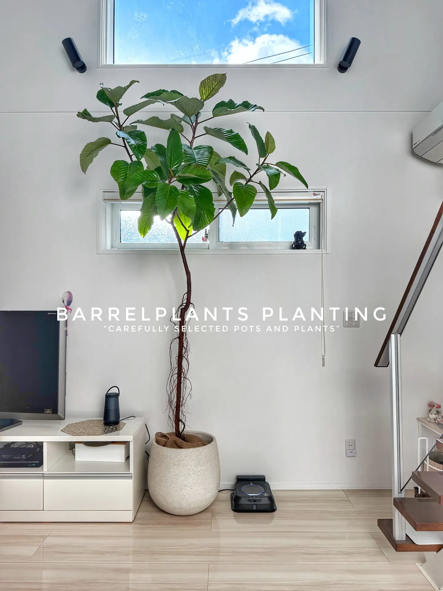 “Carefully Selected Pots and P...