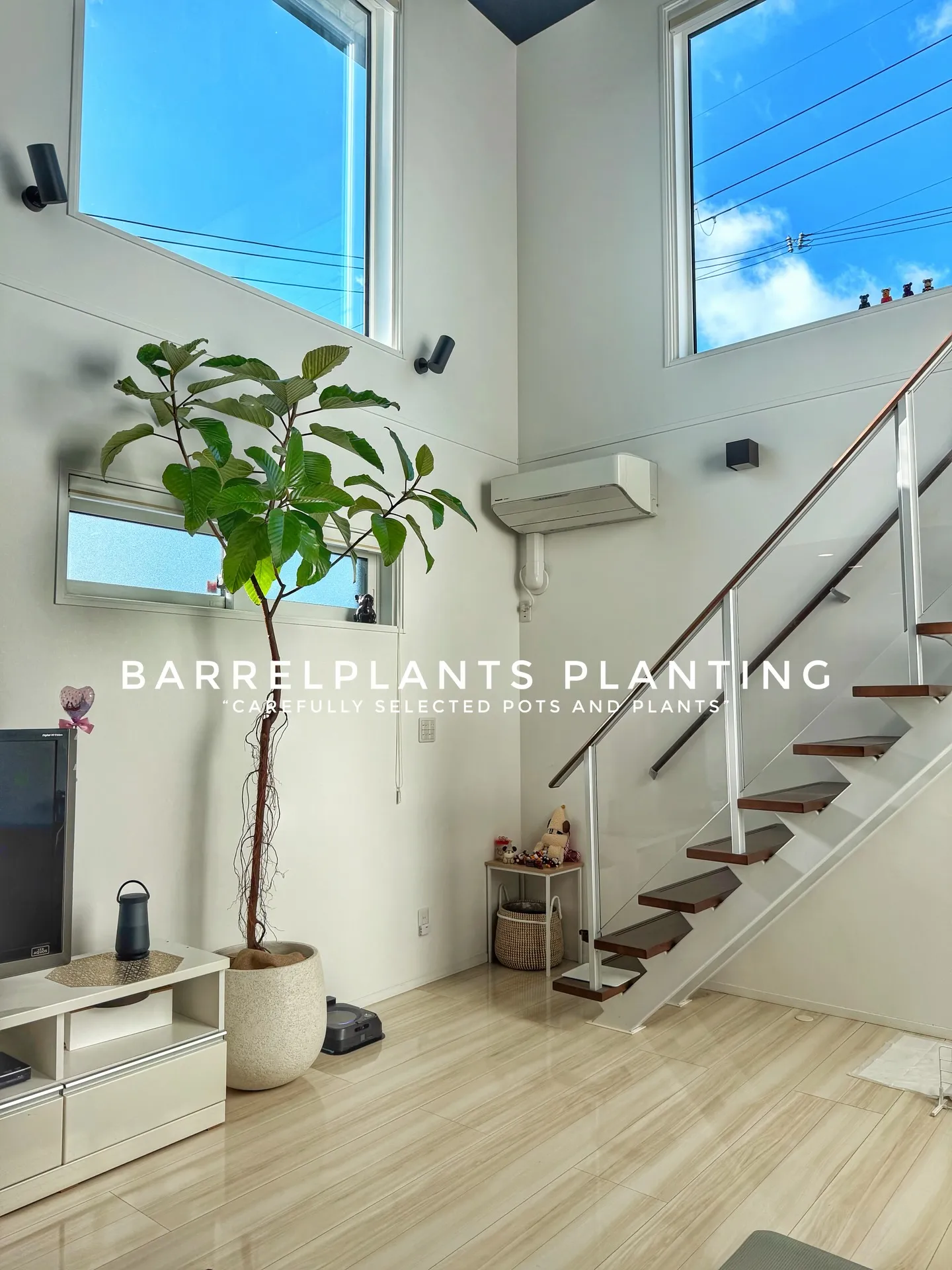 “Carefully Selected Pots and P...