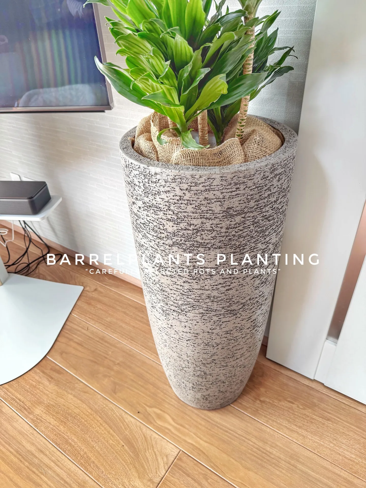 “Carefully Selected Pots and P...