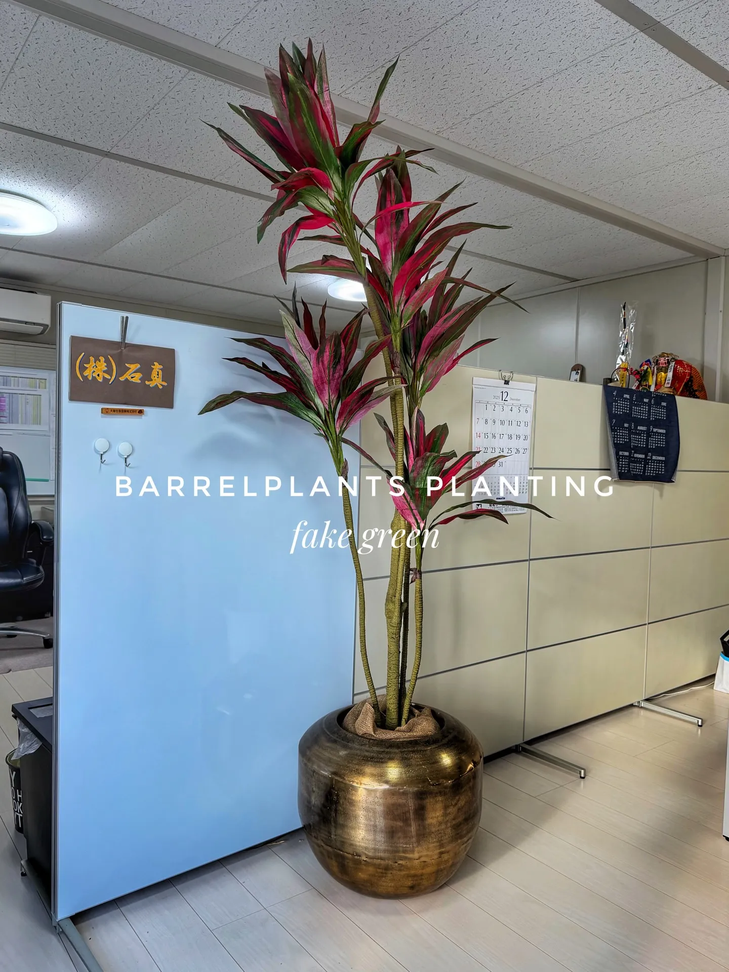 “Carefully Selected Pots and P...