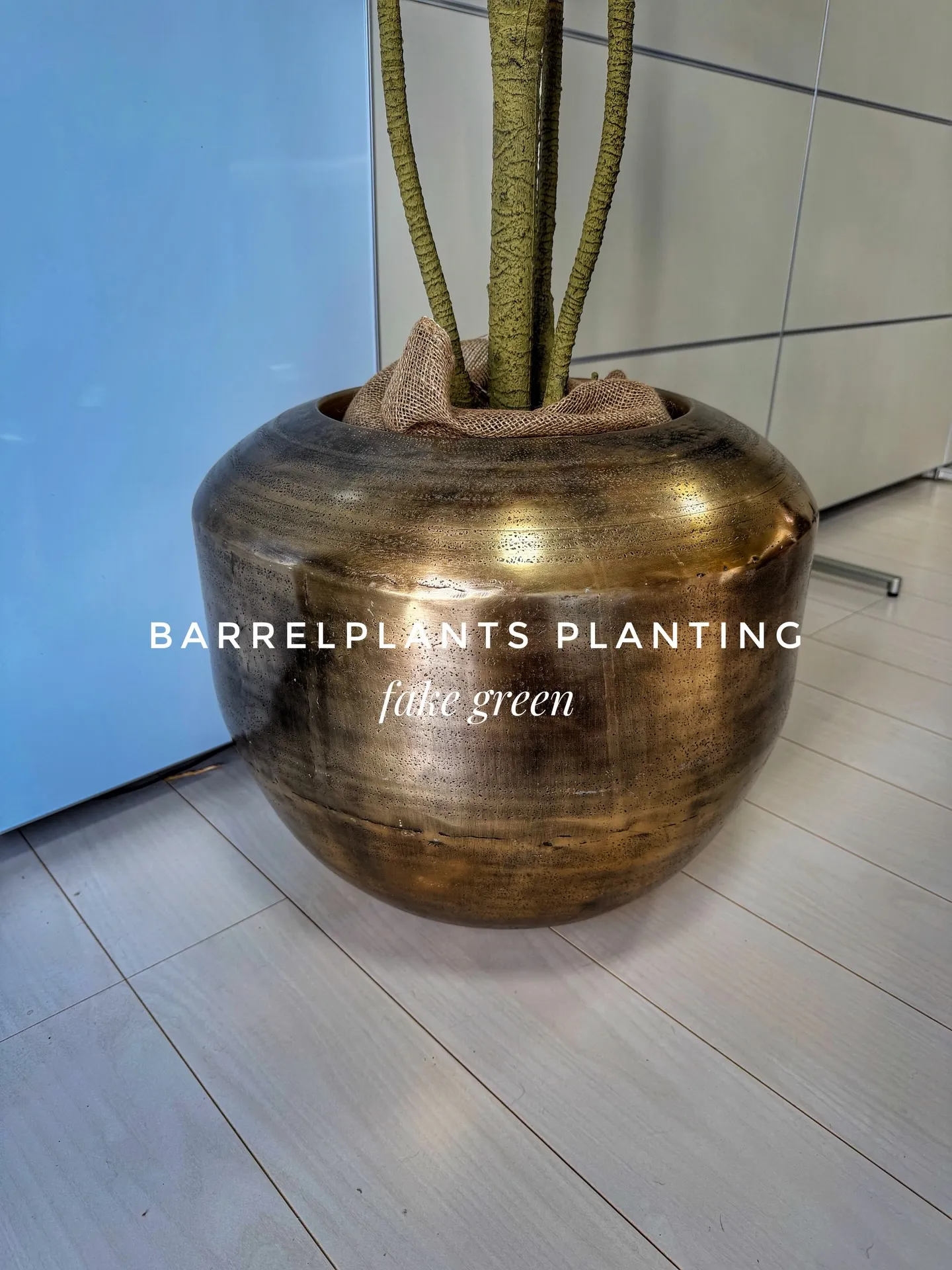 “Carefully Selected Pots and P...