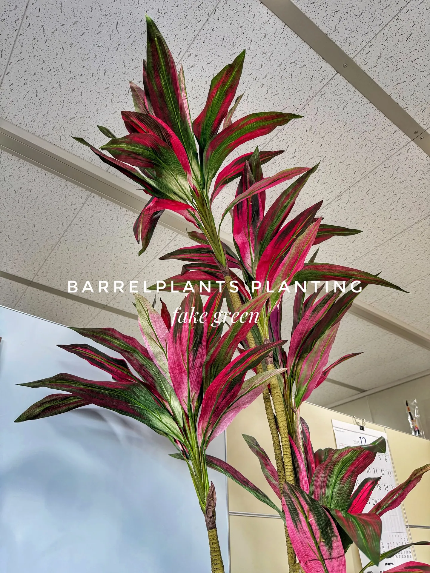 “Carefully Selected Pots and P...