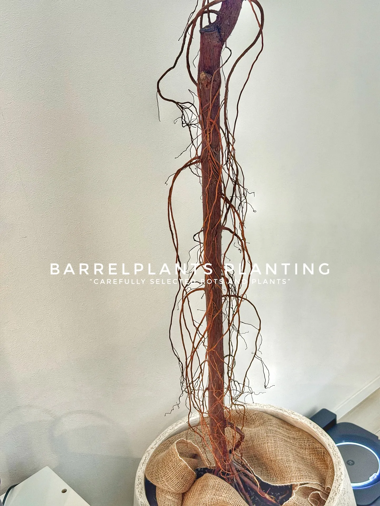 “Carefully Selected Pots and P...