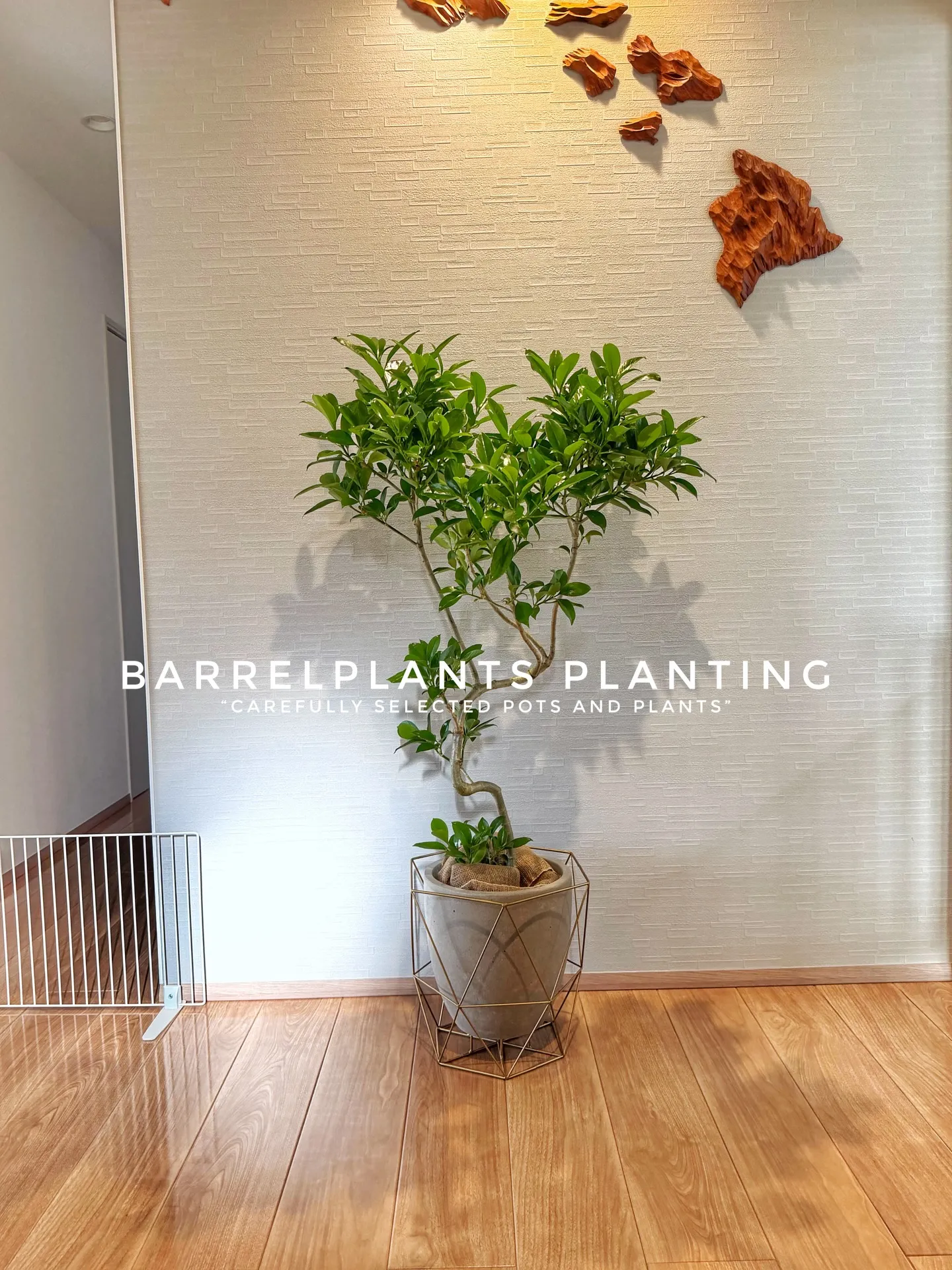 “Carefully Selected Pots and P...