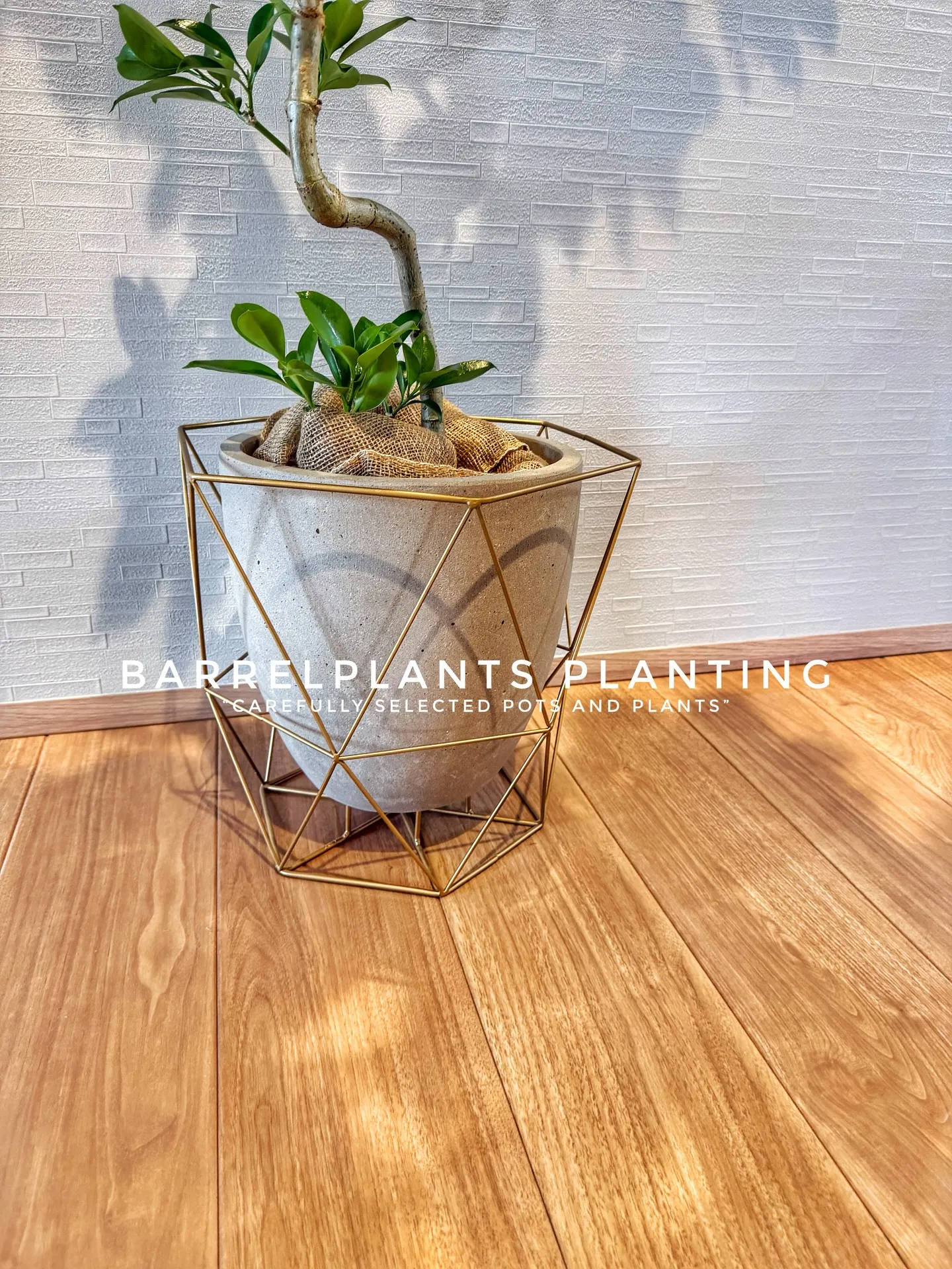 “Carefully Selected Pots and P...