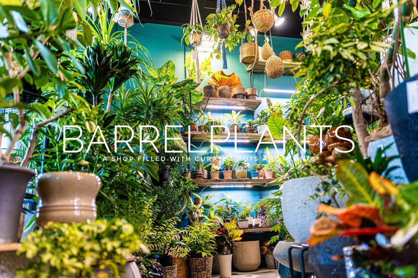 「心躍る植物時間を、ここで。