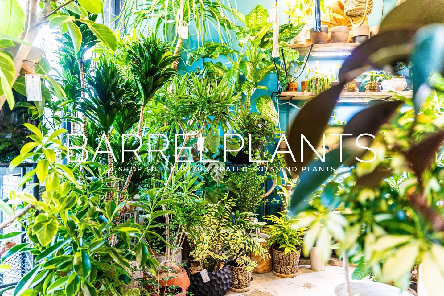 「心躍る植物時間を、ここで。