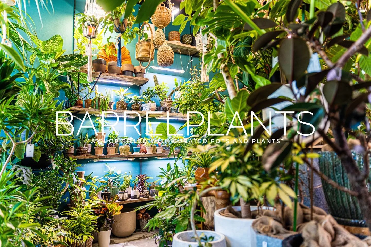 「心躍る植物時間を、ここで。