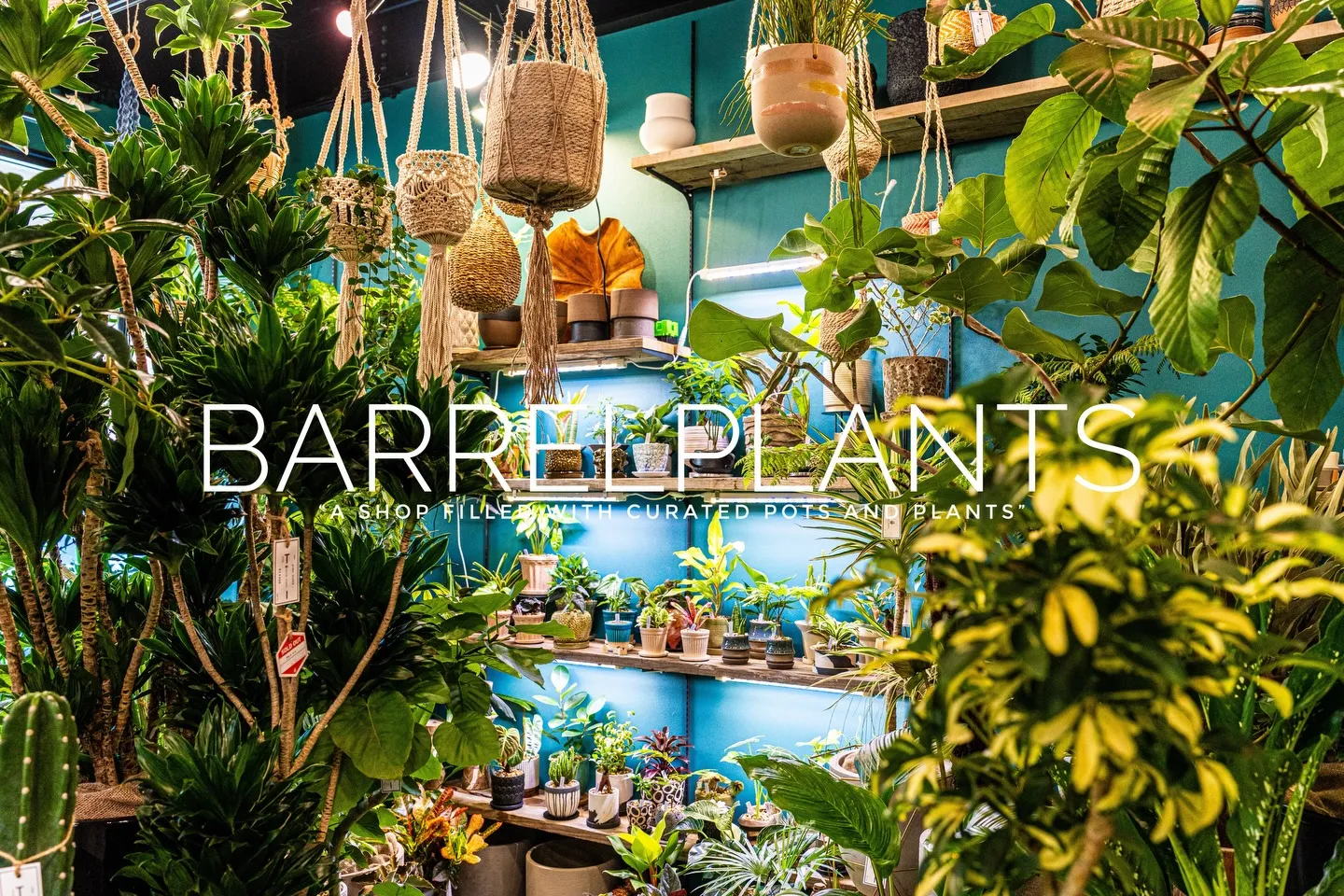 「心躍る植物時間を、ここで。