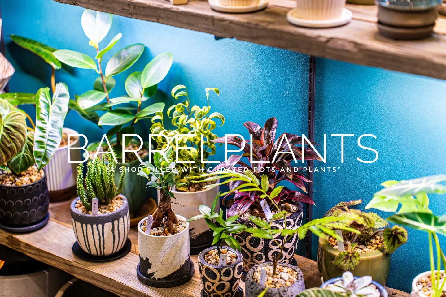 「心躍る植物時間を、ここで。