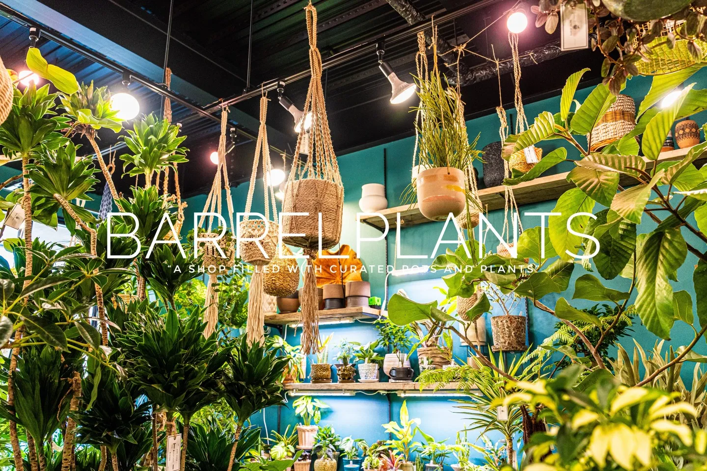 「心躍る植物時間を、ここで。