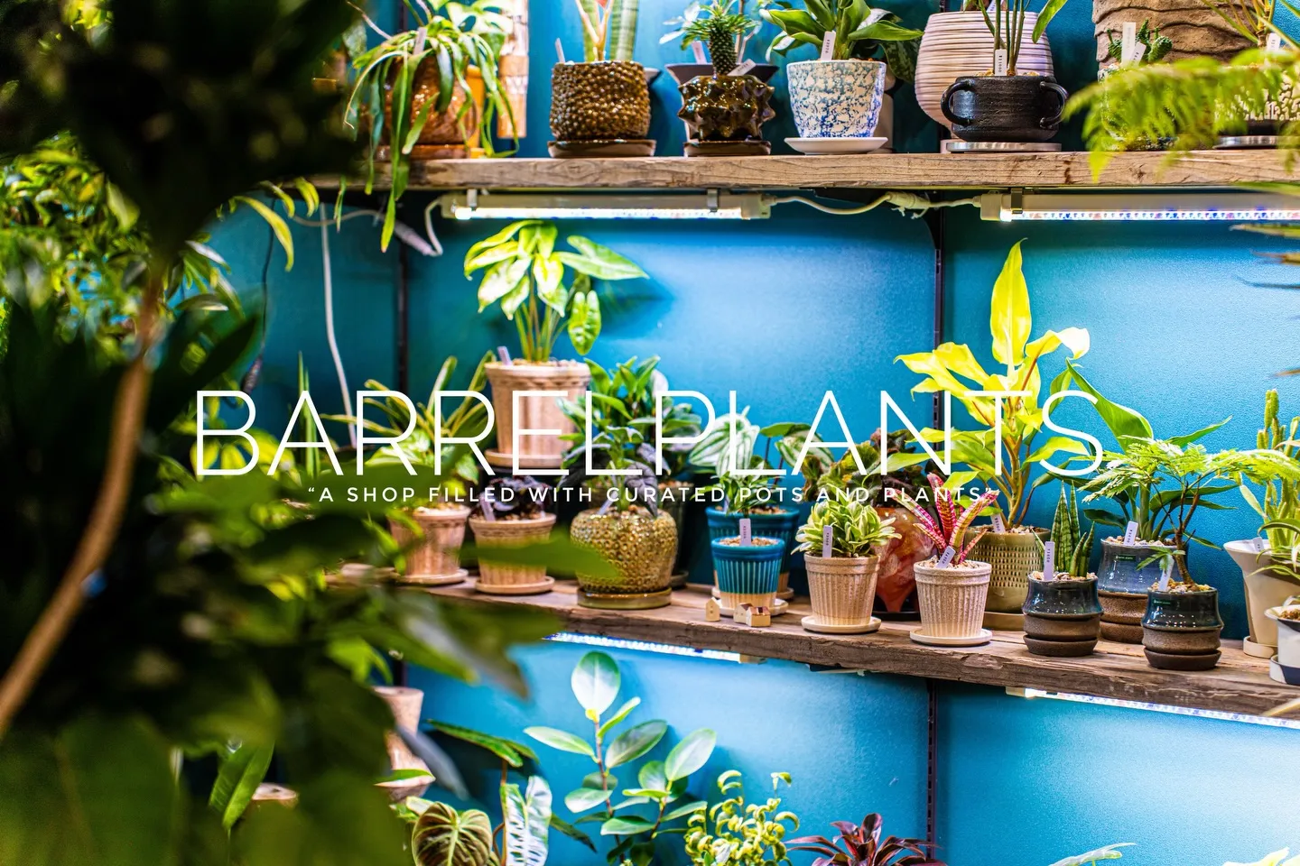 「心躍る植物時間を、ここで。