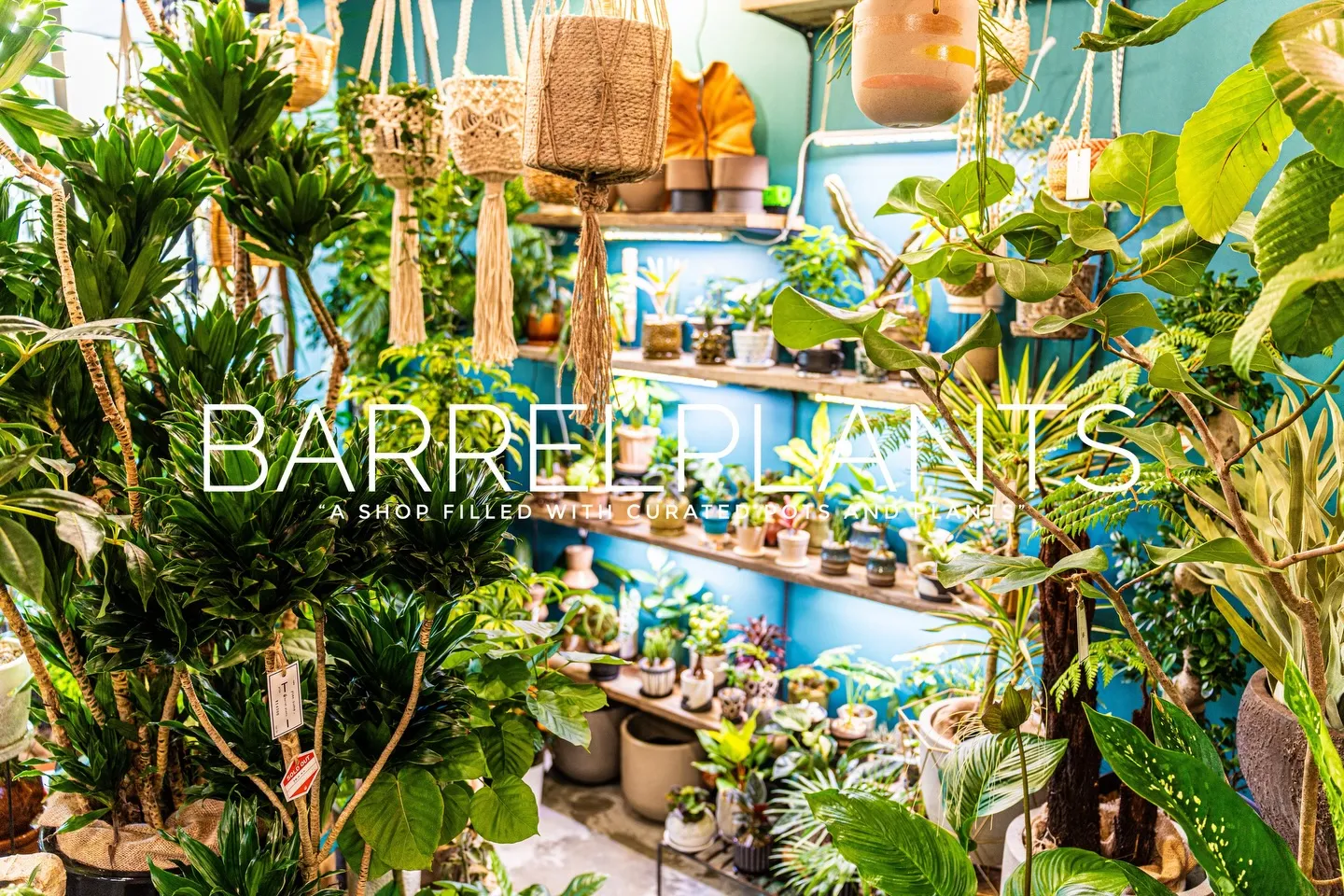 「心躍る植物時間を、ここで。