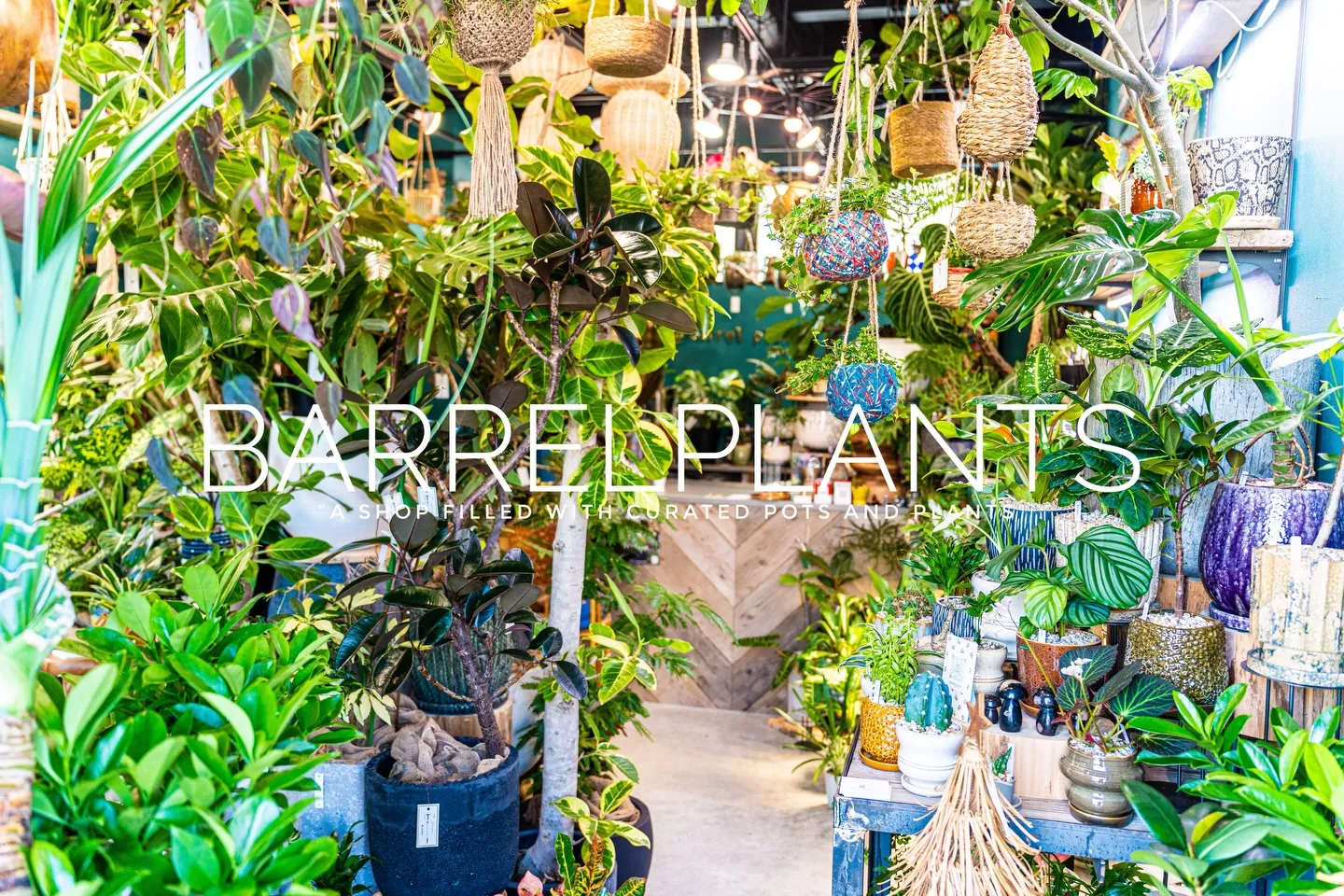 「心躍る植物時間を、ここで。