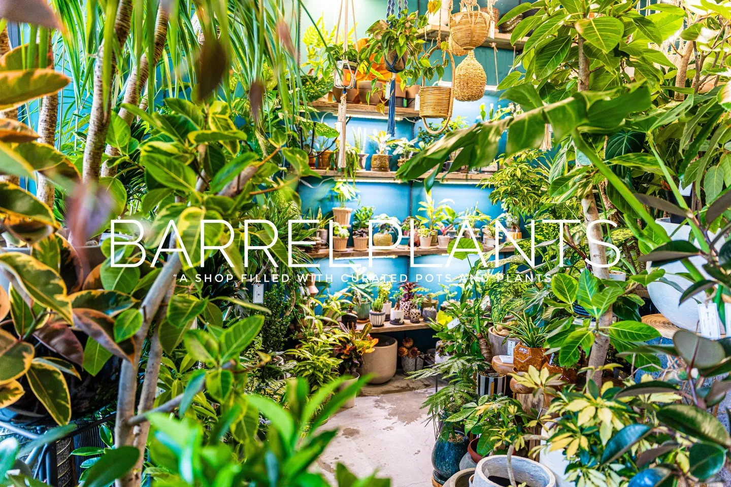 「心躍る植物時間を、ここで。