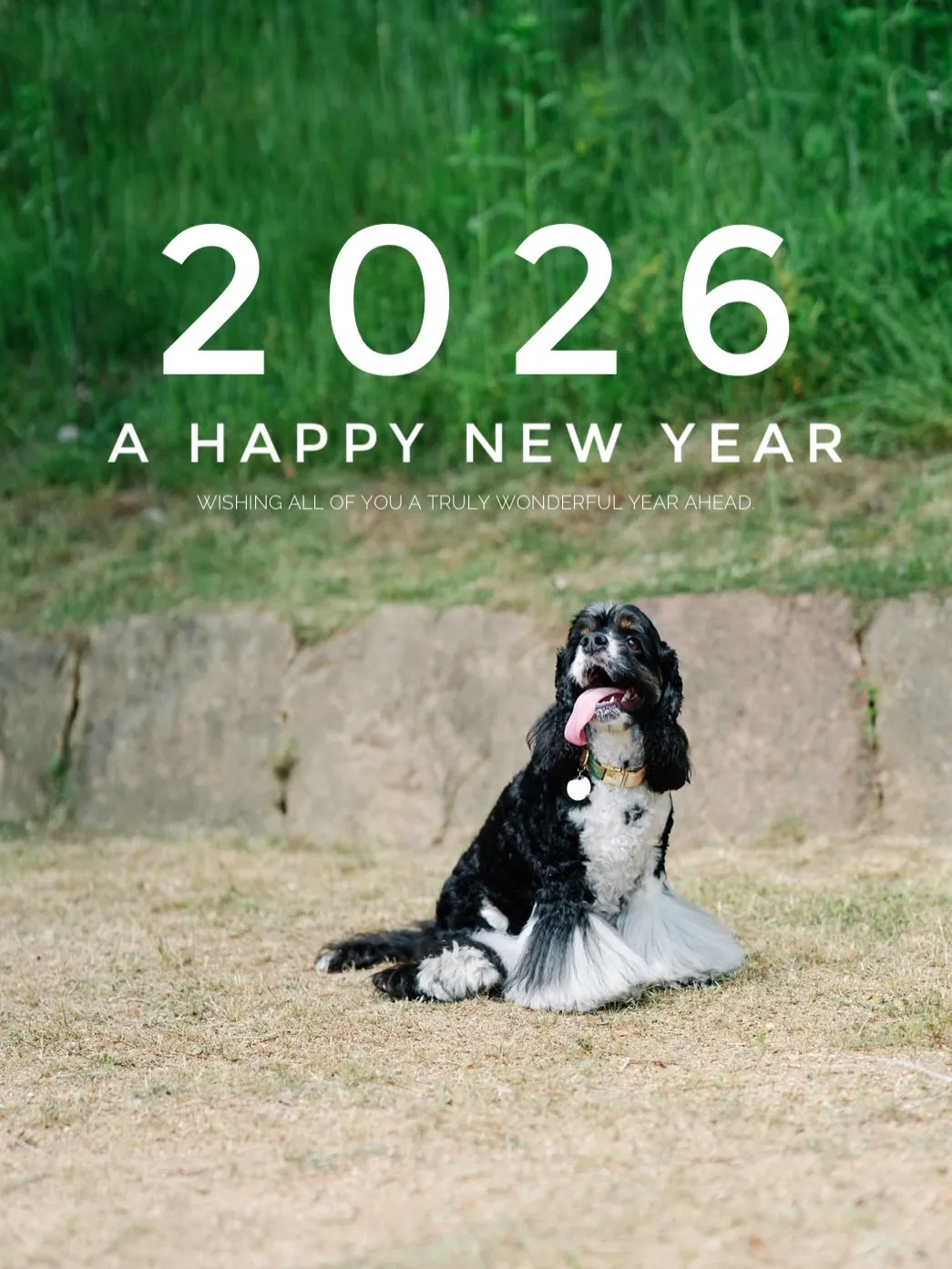 2026年、あけましておめでとうございます。