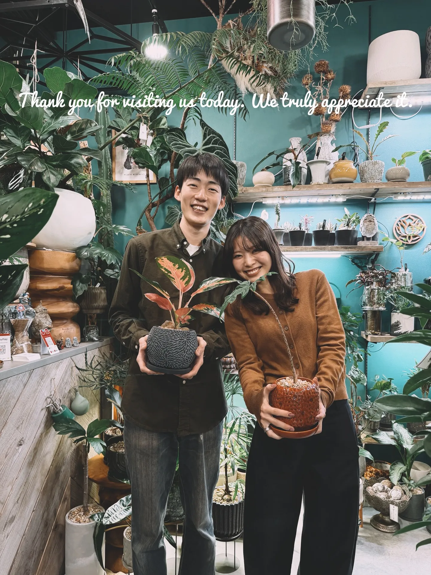 オフィスにフィカス・アルテシーマをお届けしました🌿