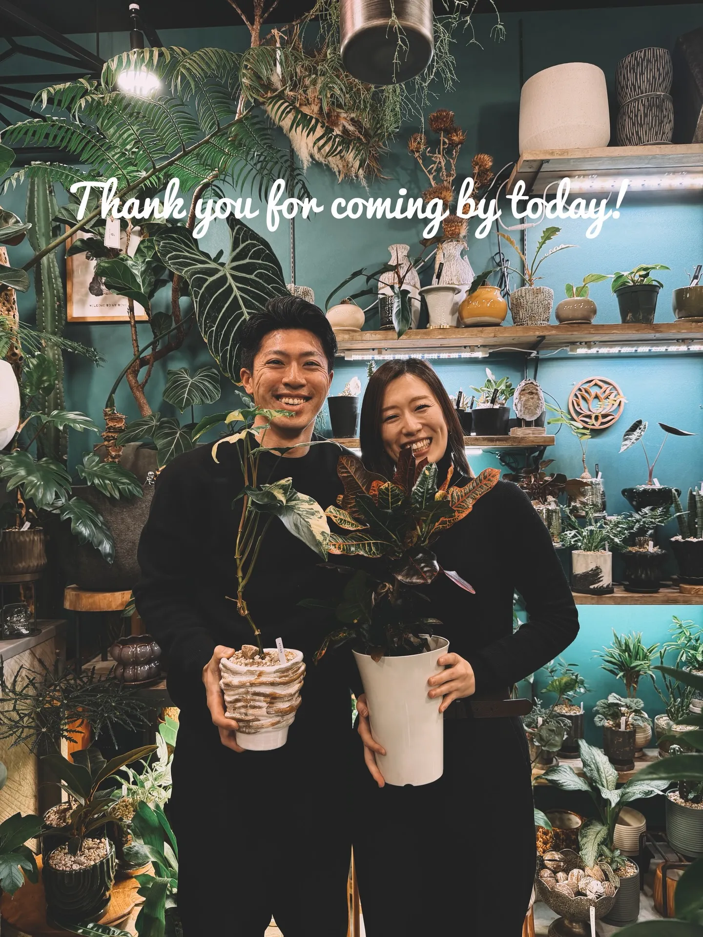 【barrelplantsオススメ下草シリーズ🍃Grevil...