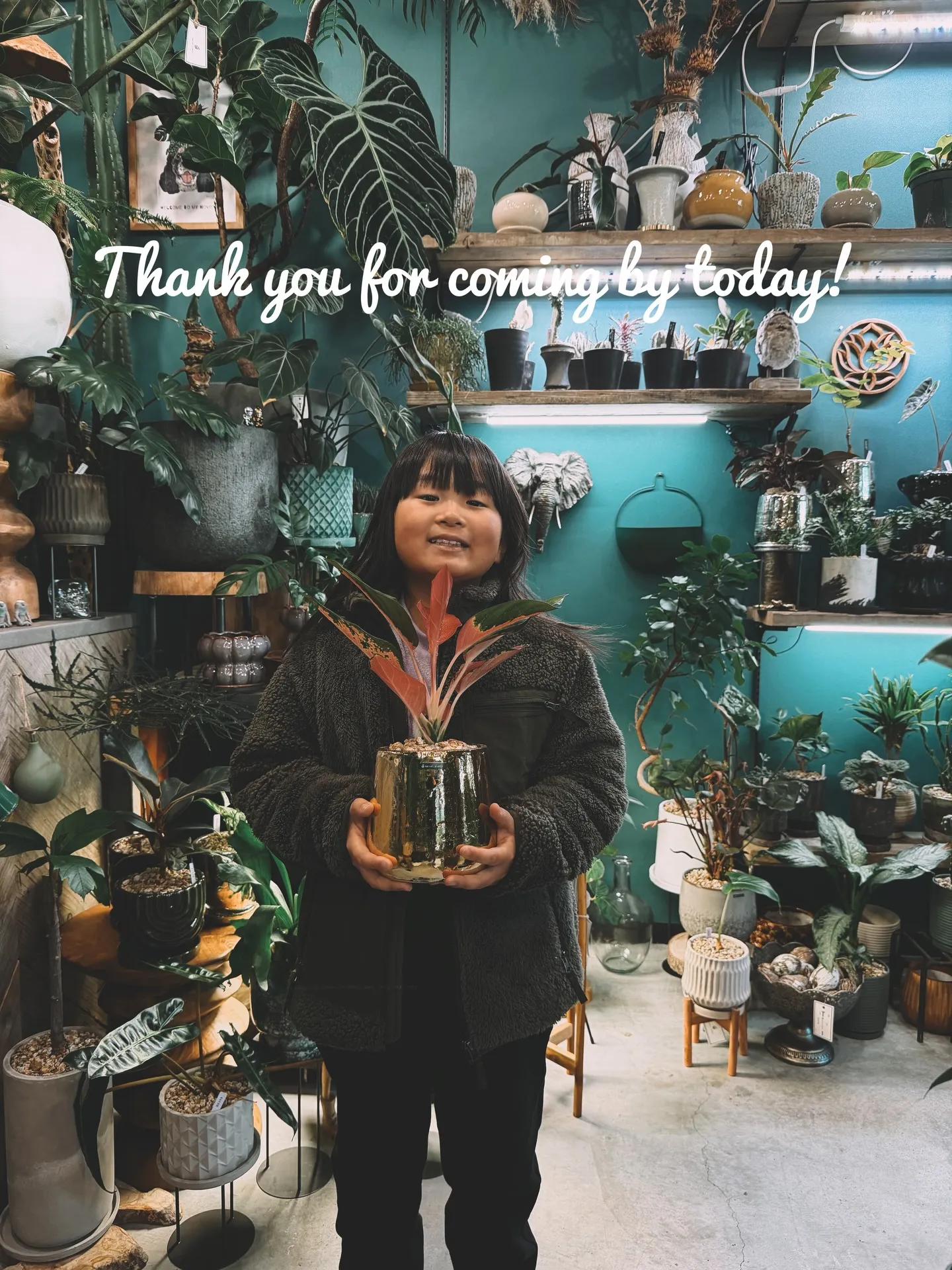 【barrelplantsオススメ下草シリーズ🍃Grevil...