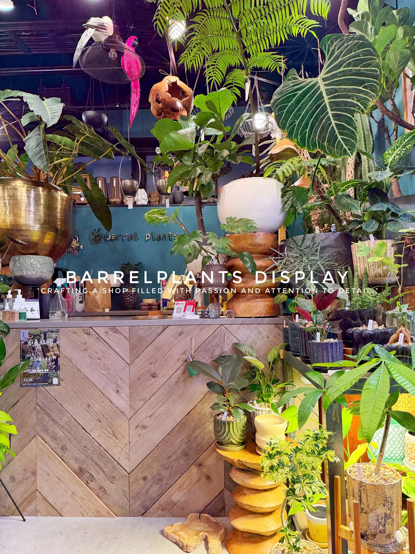 BARREL PLANTS DISPLAY