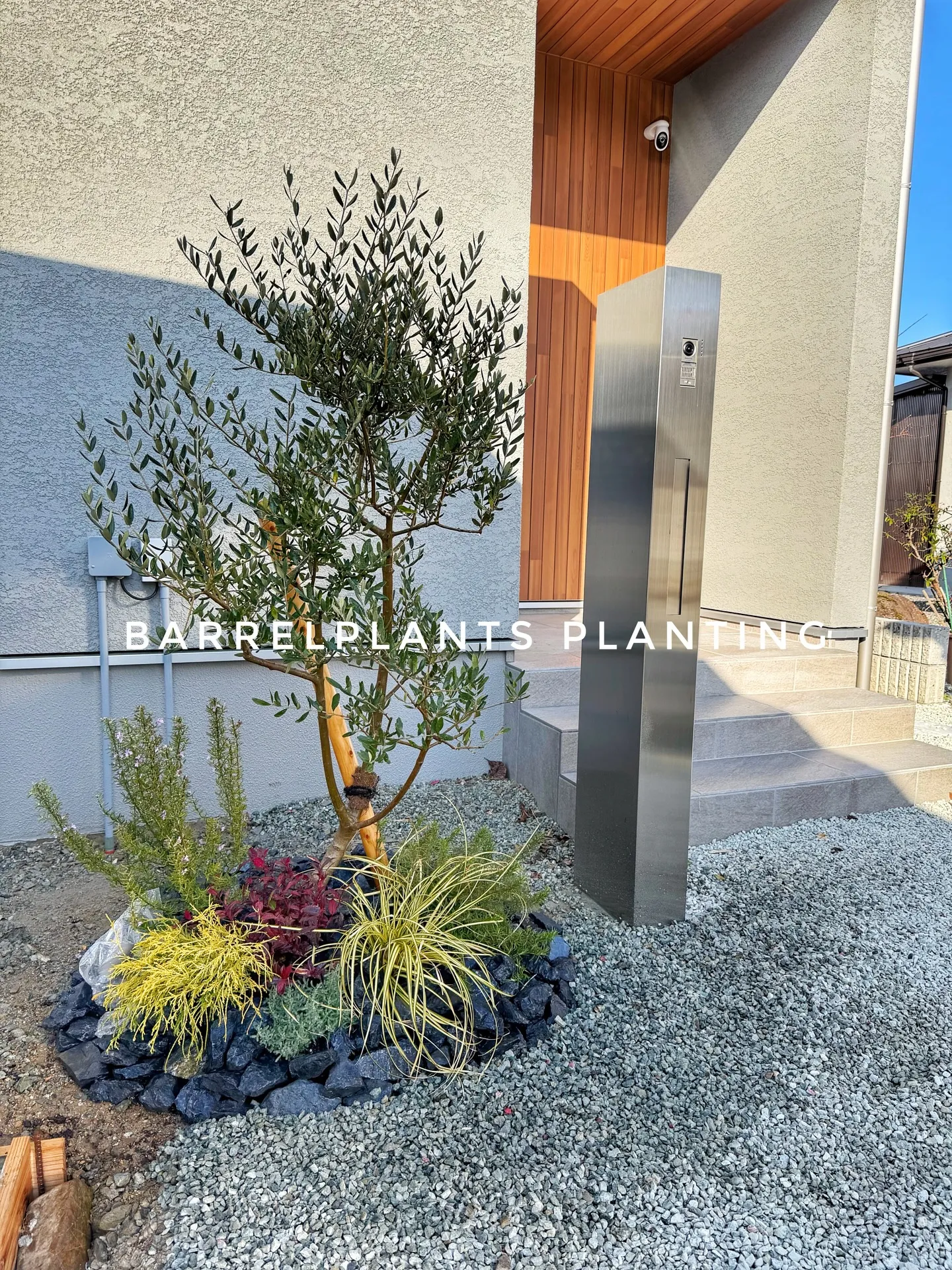 「こだわりの鉢と植物でつくる、今日の植え込みラインナップ。