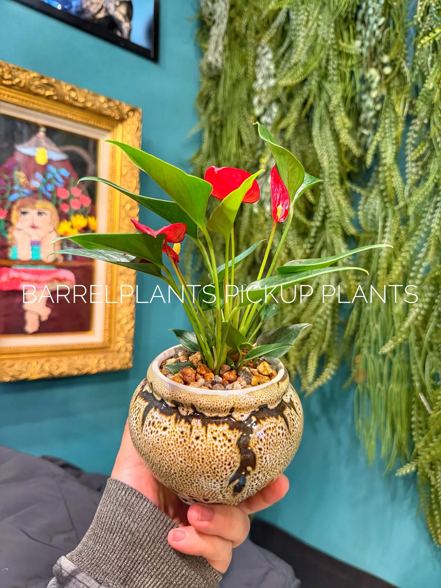 「こだわりの鉢と植物でつくる、今日の植え込みラインナップ。