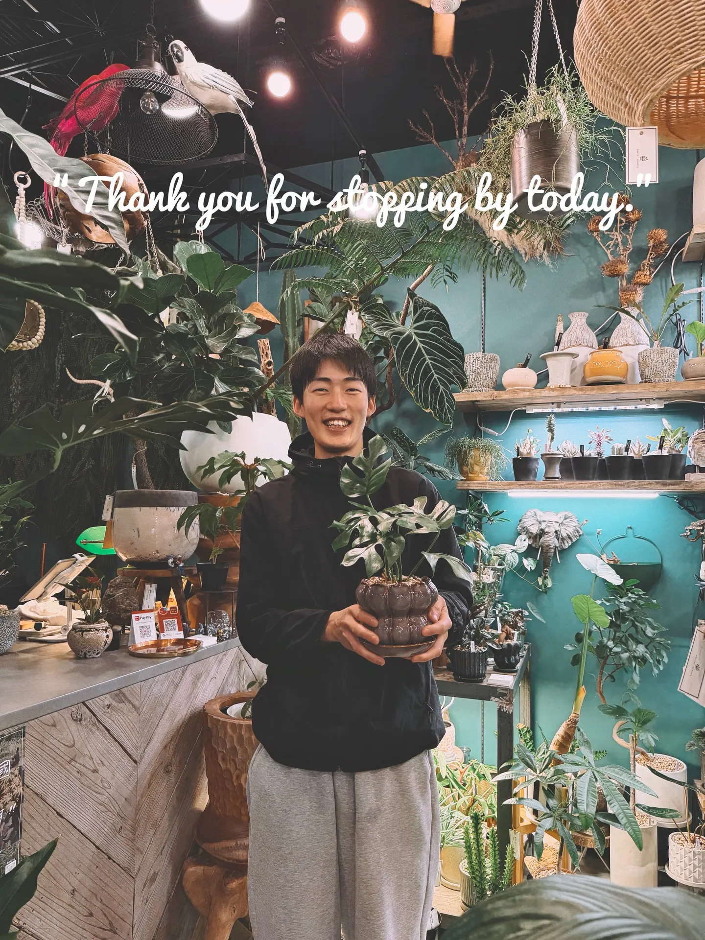 「こだわりの鉢と植物でつくる、今日の植え込みラインナップ。