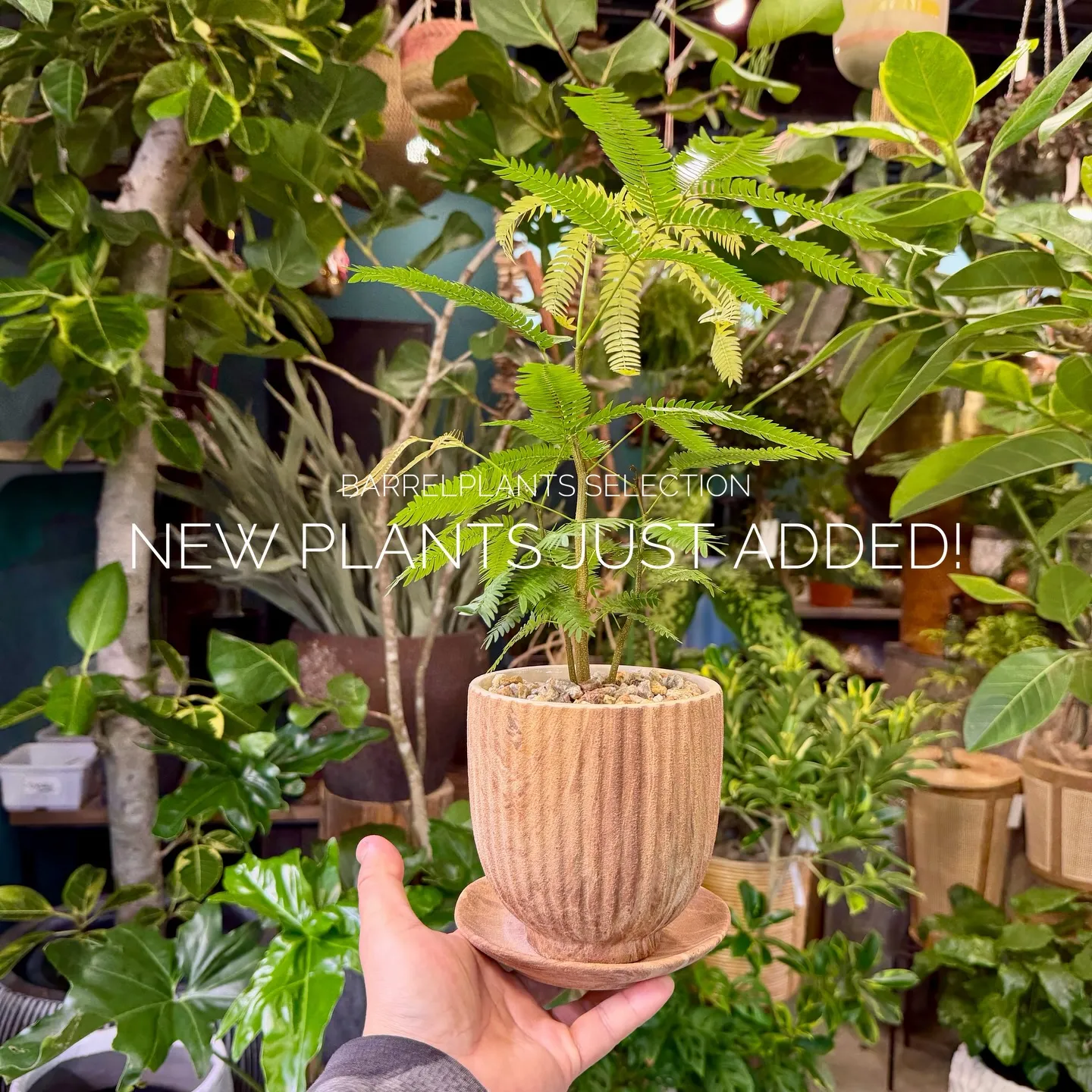 店頭でも人気のセレクションを、