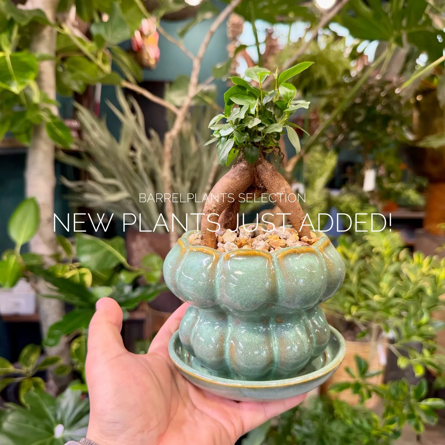 店頭でも人気のセレクションを、