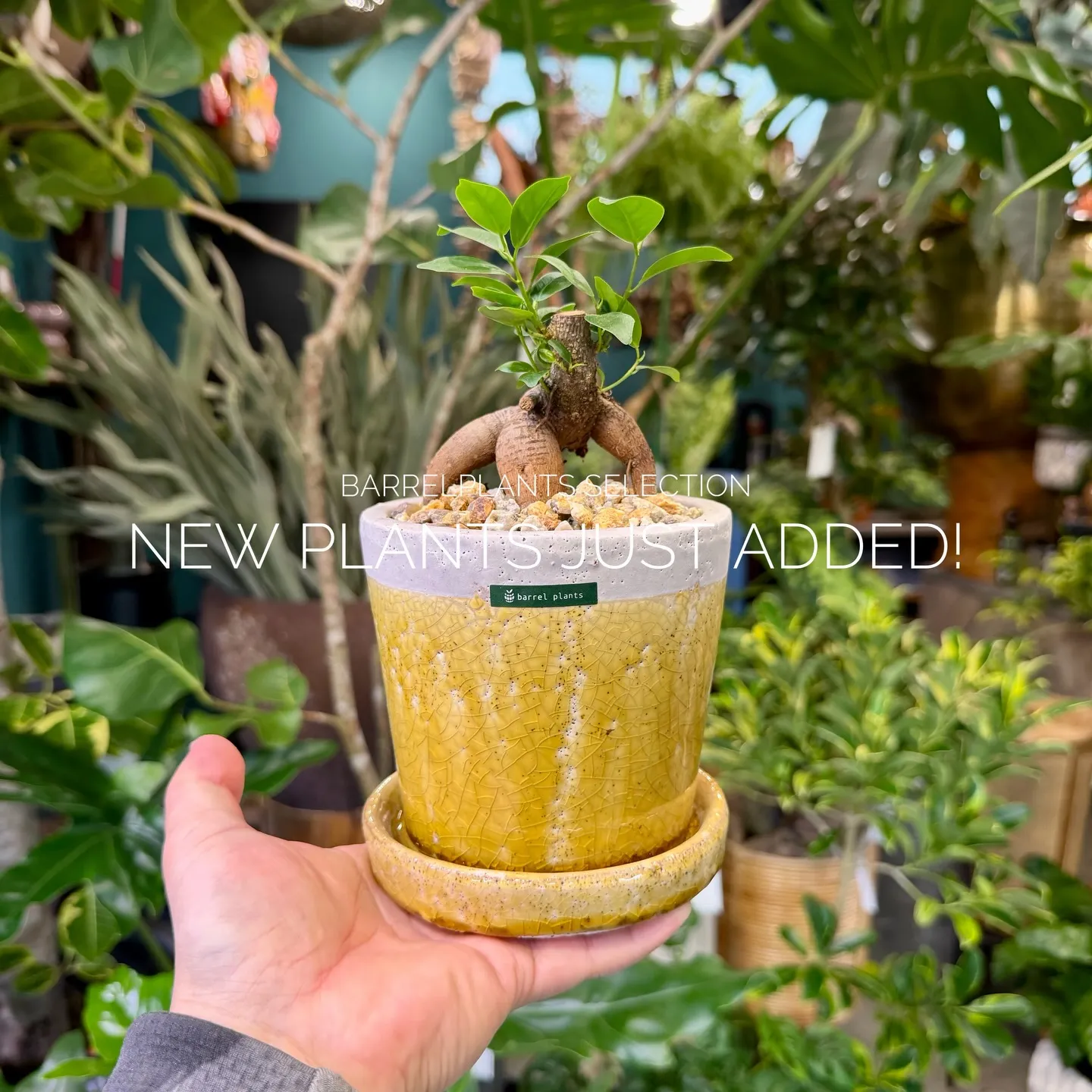 店頭でも人気のセレクションを、