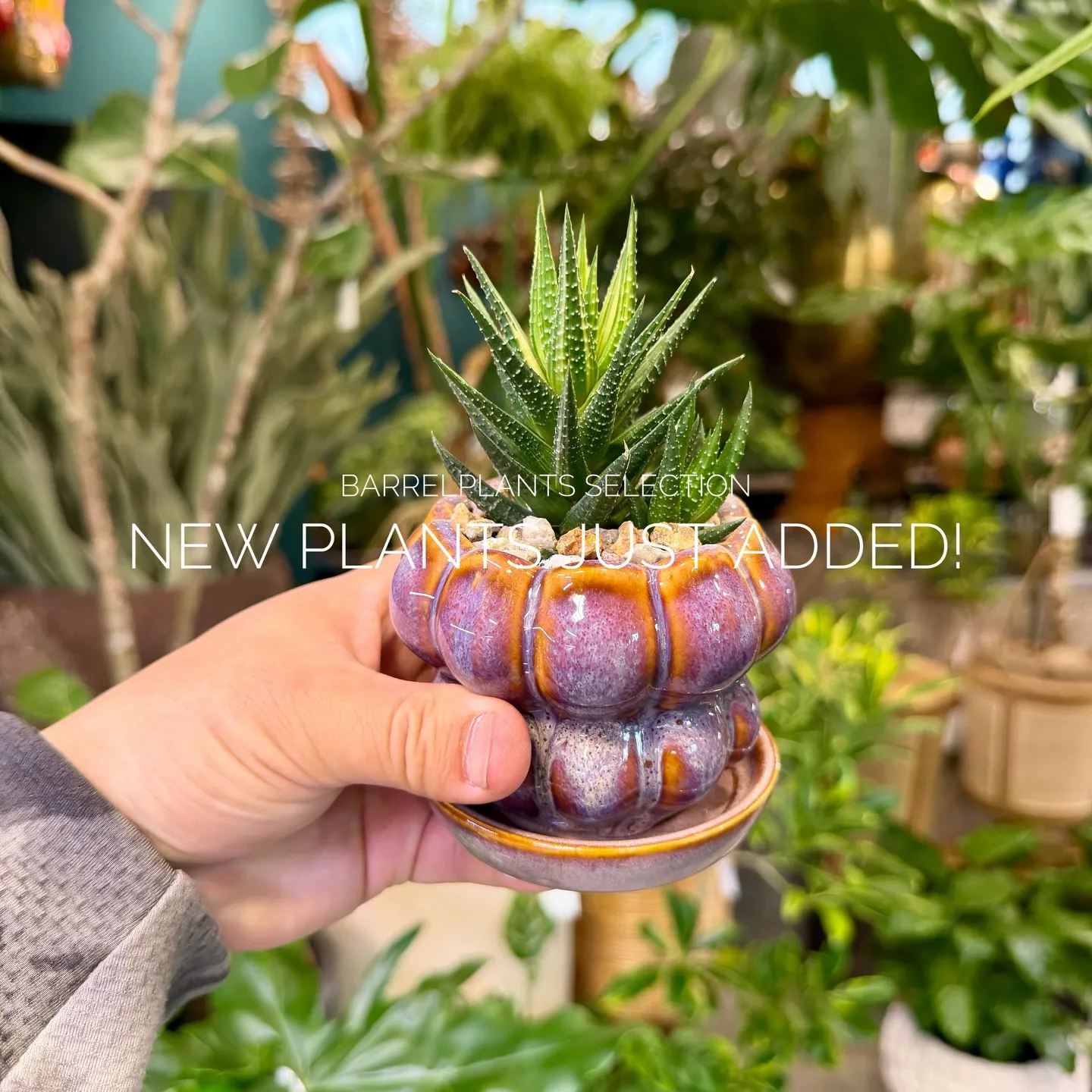 店頭でも人気のセレクションを、