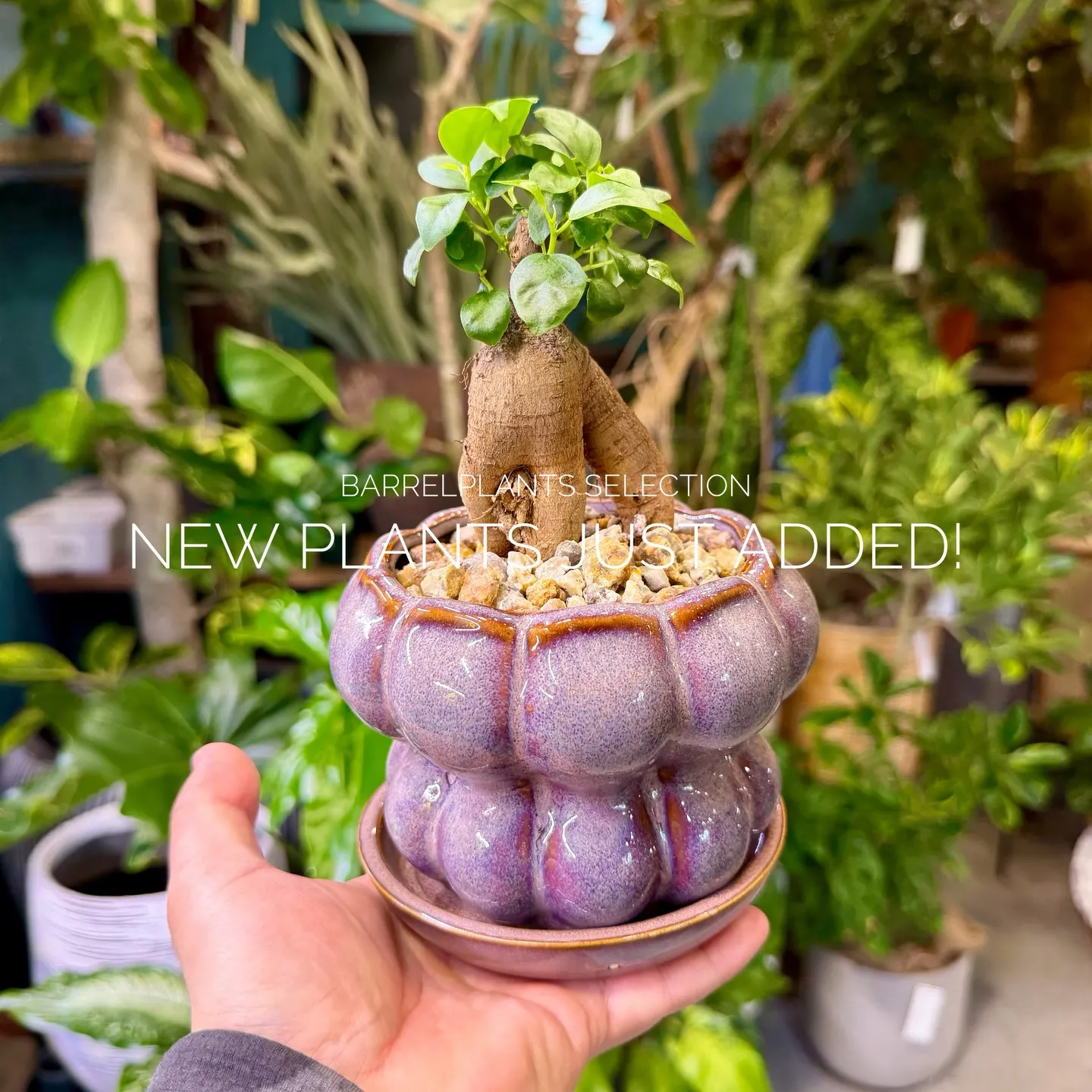 店頭でも人気のセレクションを、