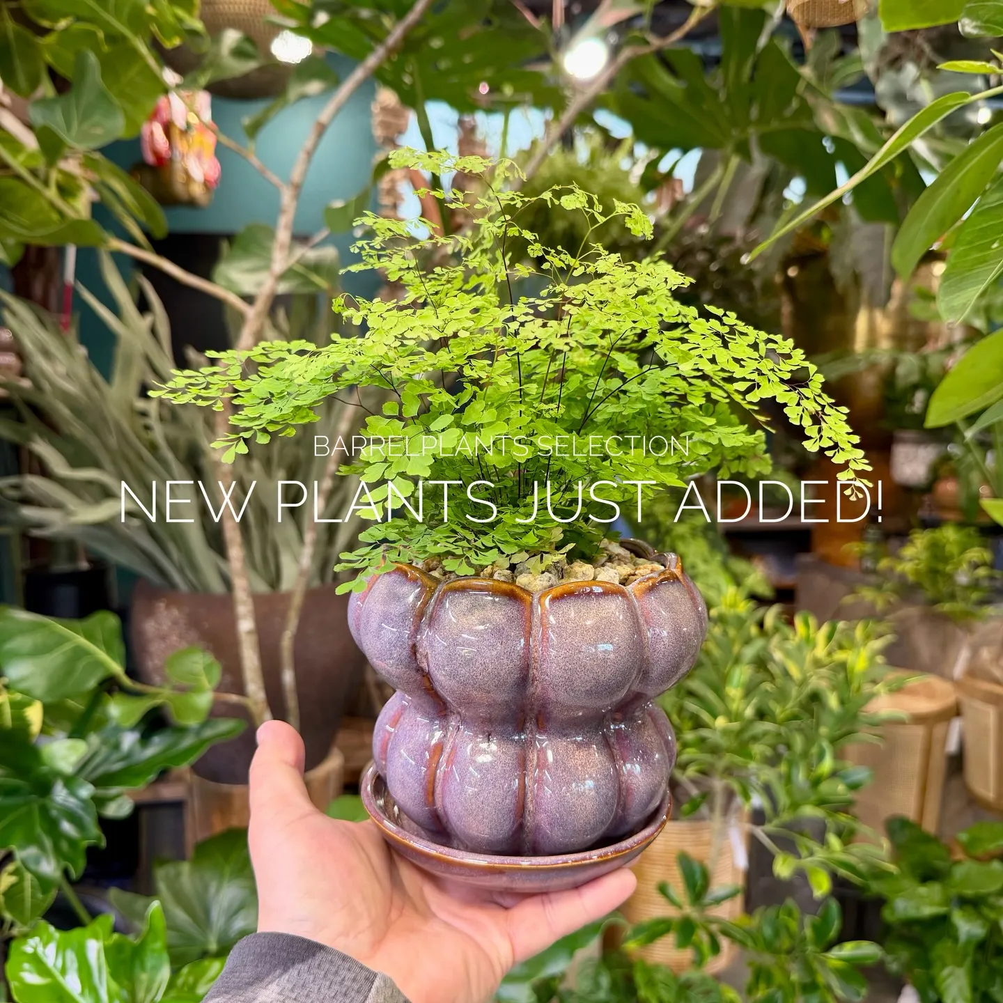 店頭でも人気のセレクションを、