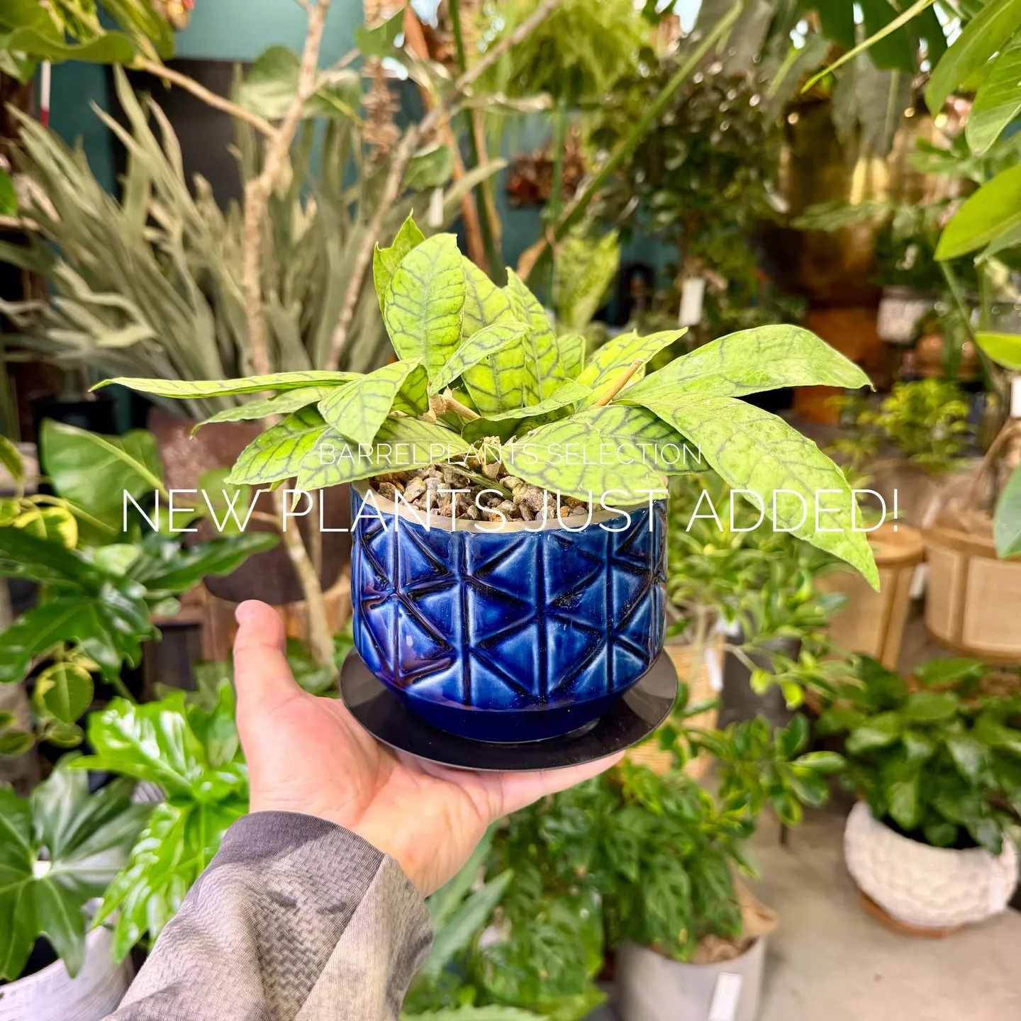 店頭でも人気のセレクションを、