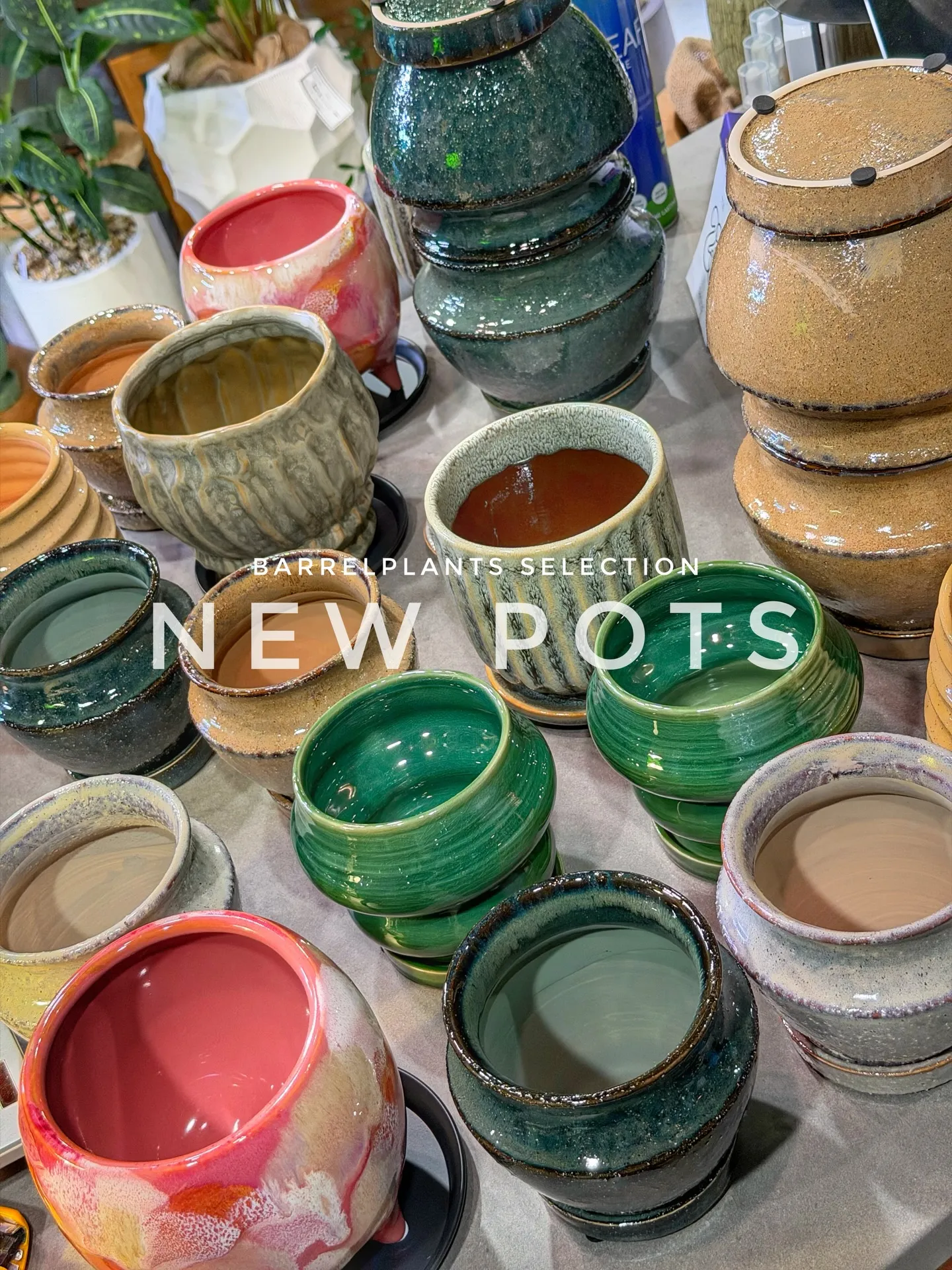 「色と質感を愉しむ、バーレルプランツの新作ポット。