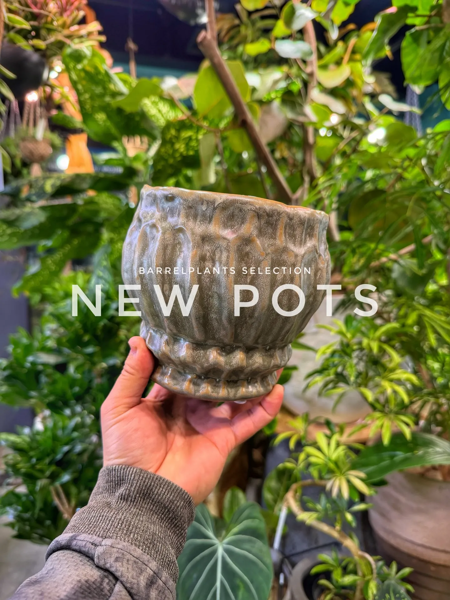 「色と質感を愉しむ、バーレルプランツの新作ポット。