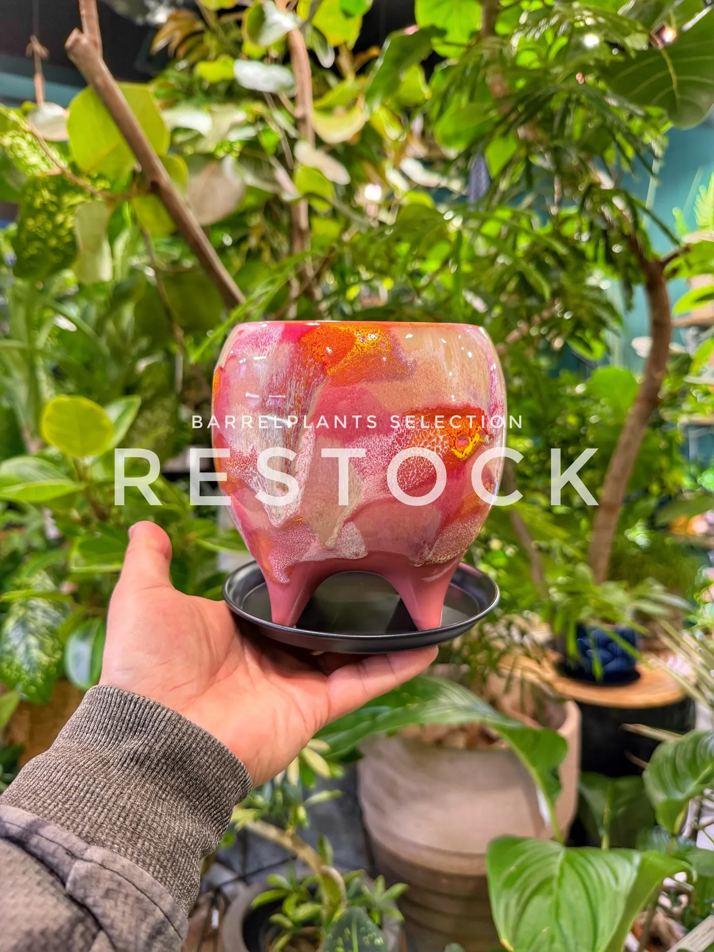 「色と質感を愉しむ、バーレルプランツの新作ポット。