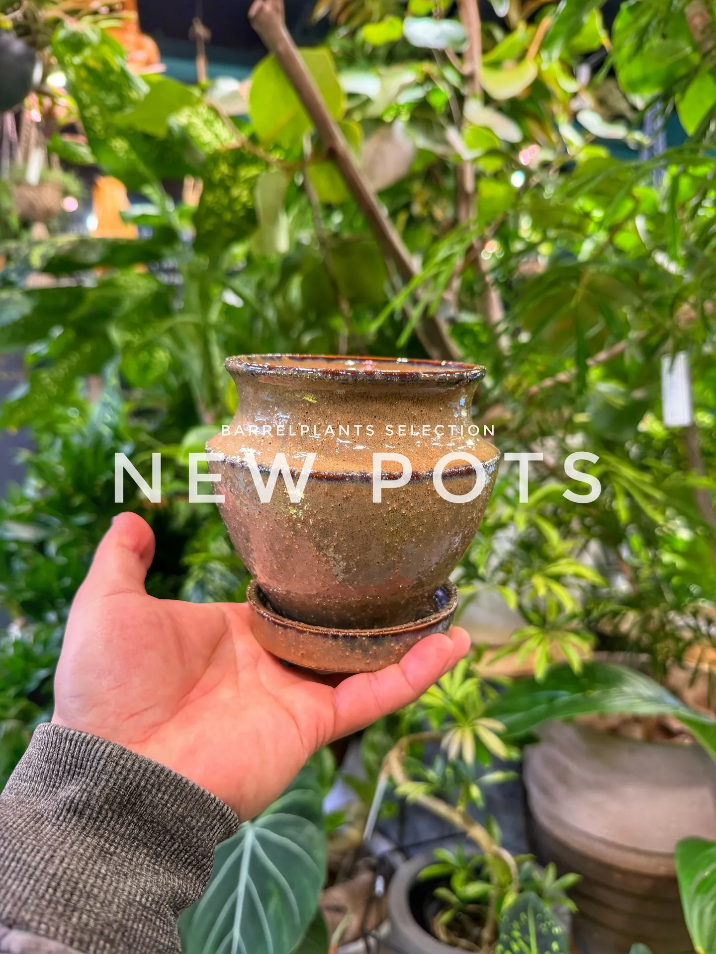 「色と質感を愉しむ、バーレルプランツの新作ポット。