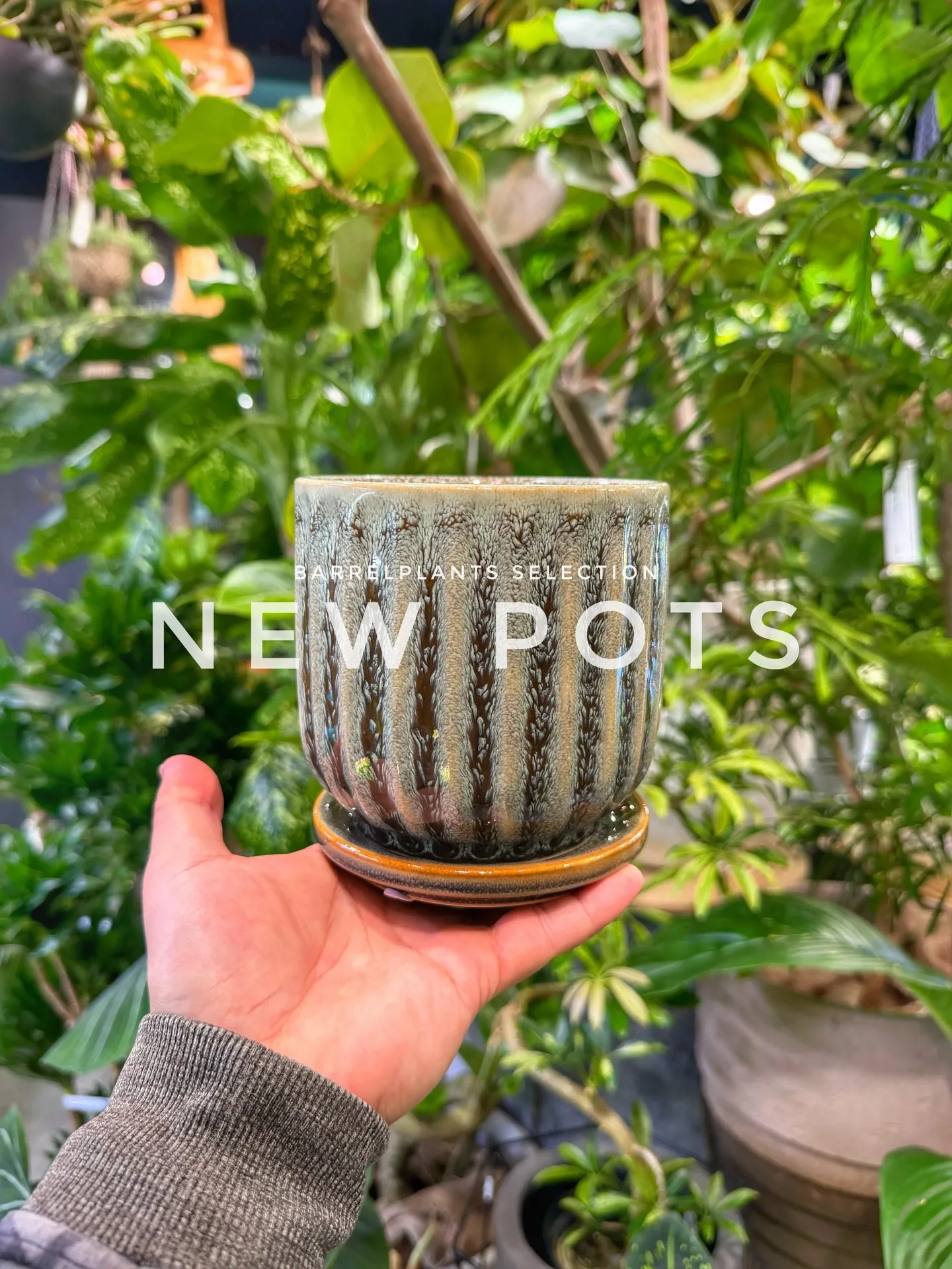 「色と質感を愉しむ、バーレルプランツの新作ポット。