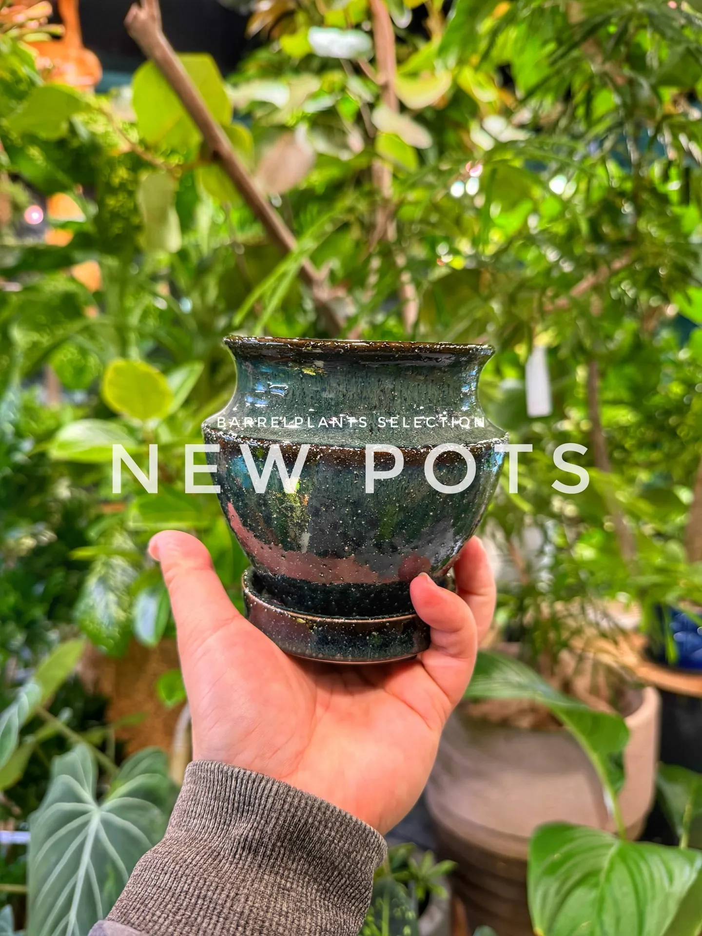「色と質感を愉しむ、バーレルプランツの新作ポット。