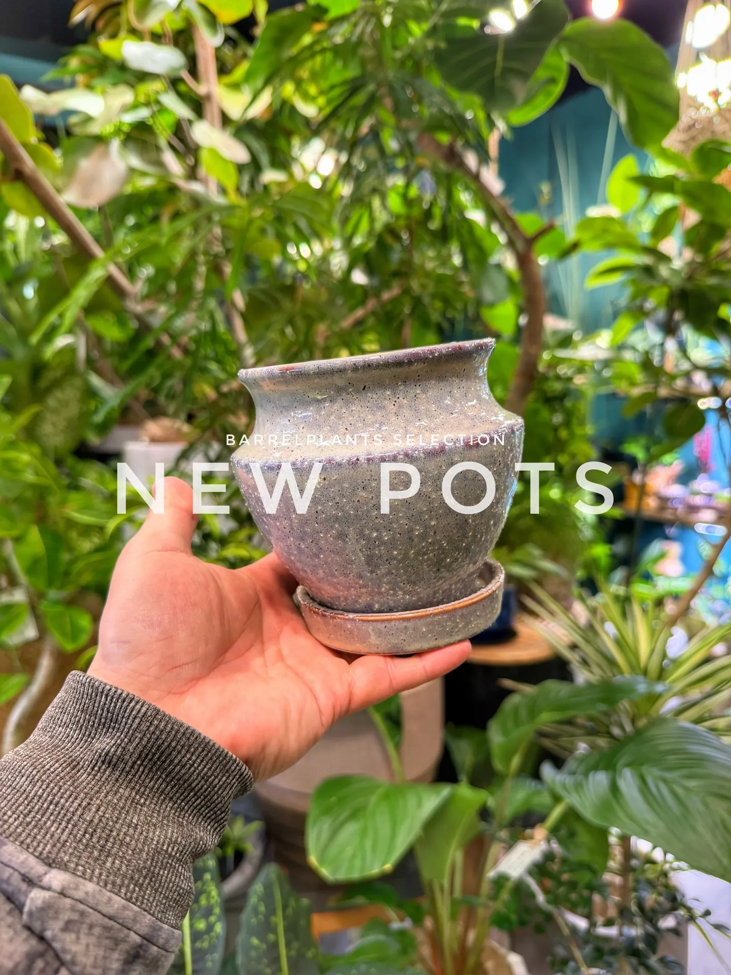 「色と質感を愉しむ、バーレルプランツの新作ポット。