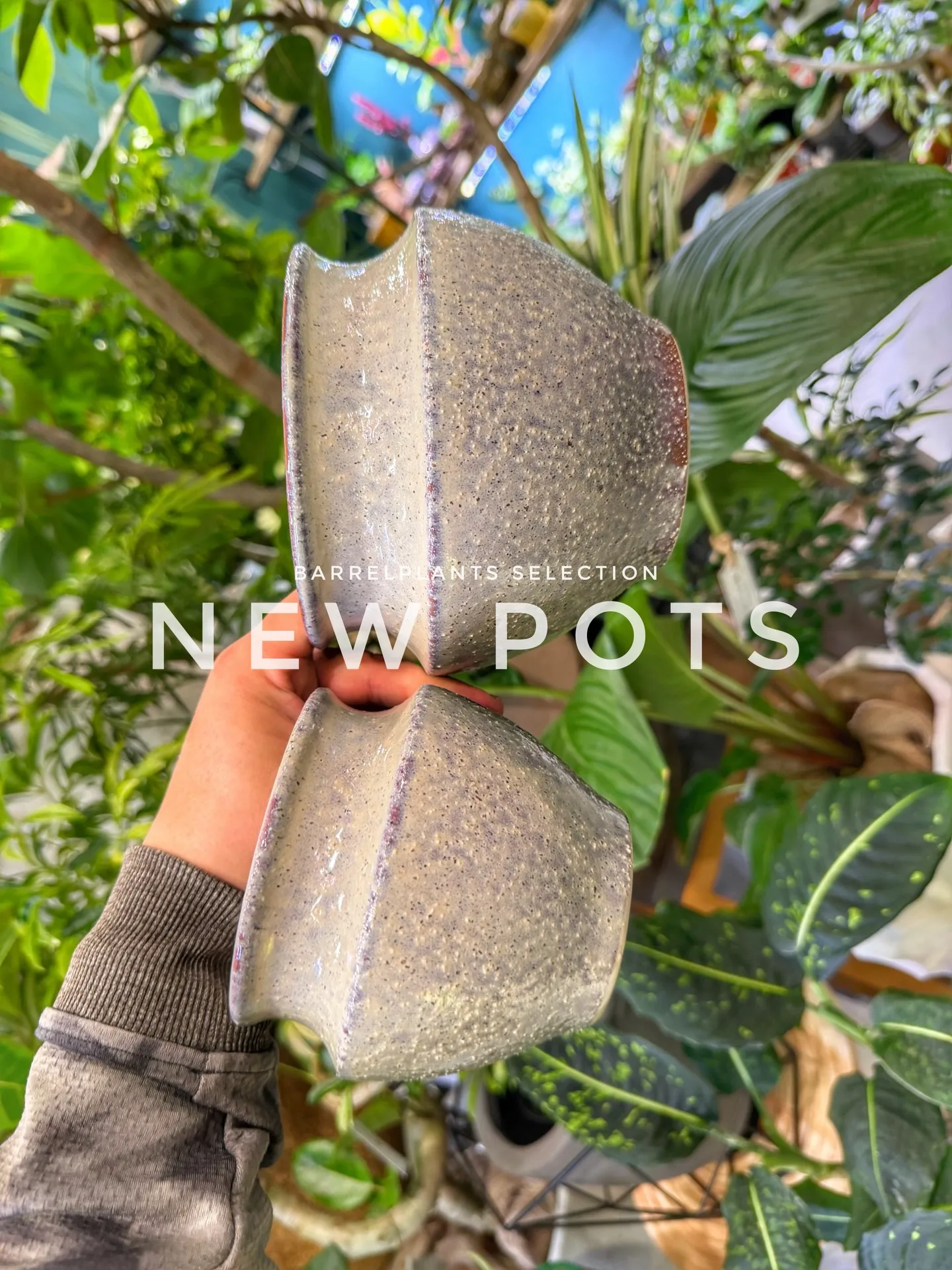 「色と質感を愉しむ、バーレルプランツの新作ポット。